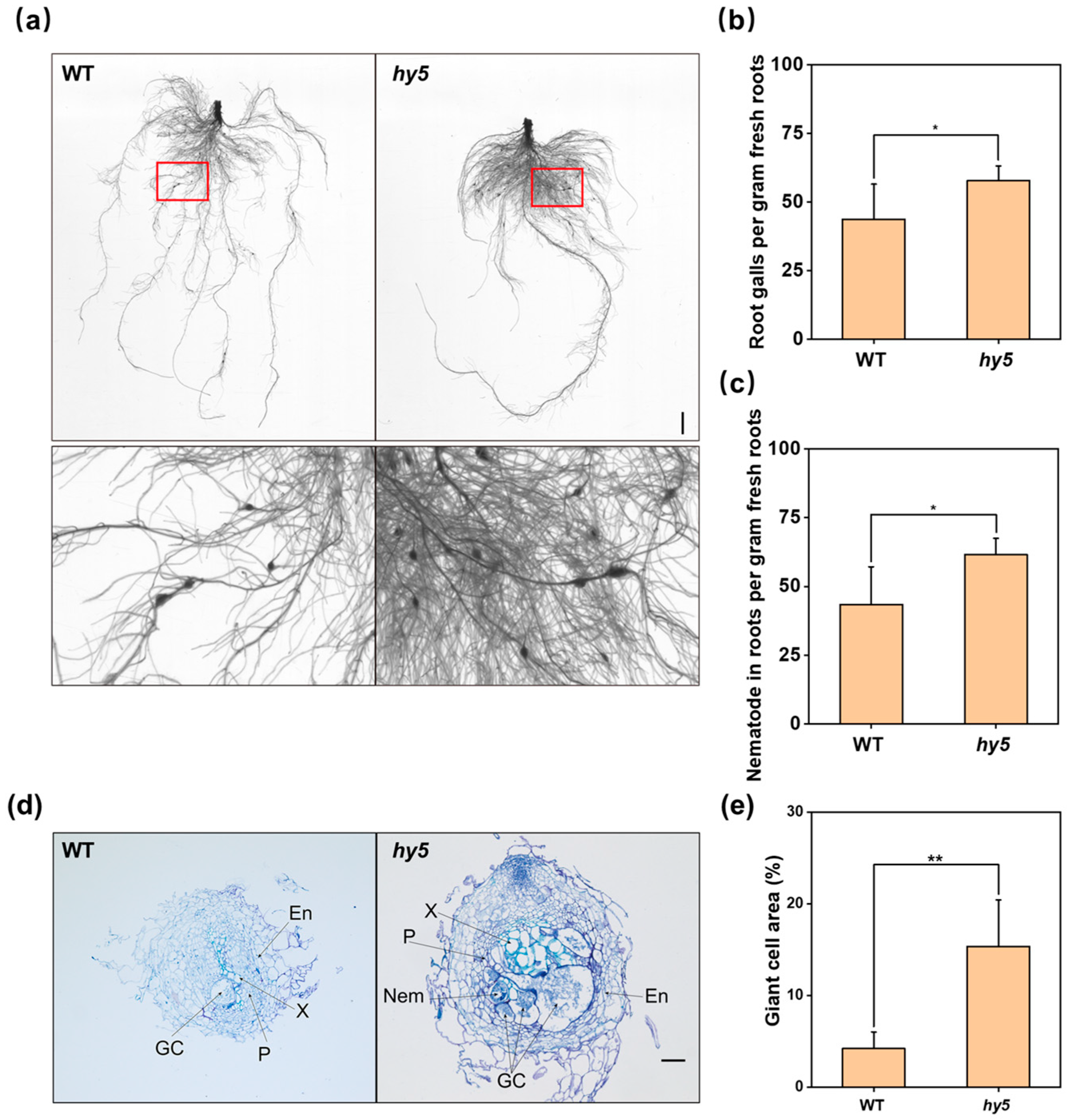 Antioxidants 14 00679 g003