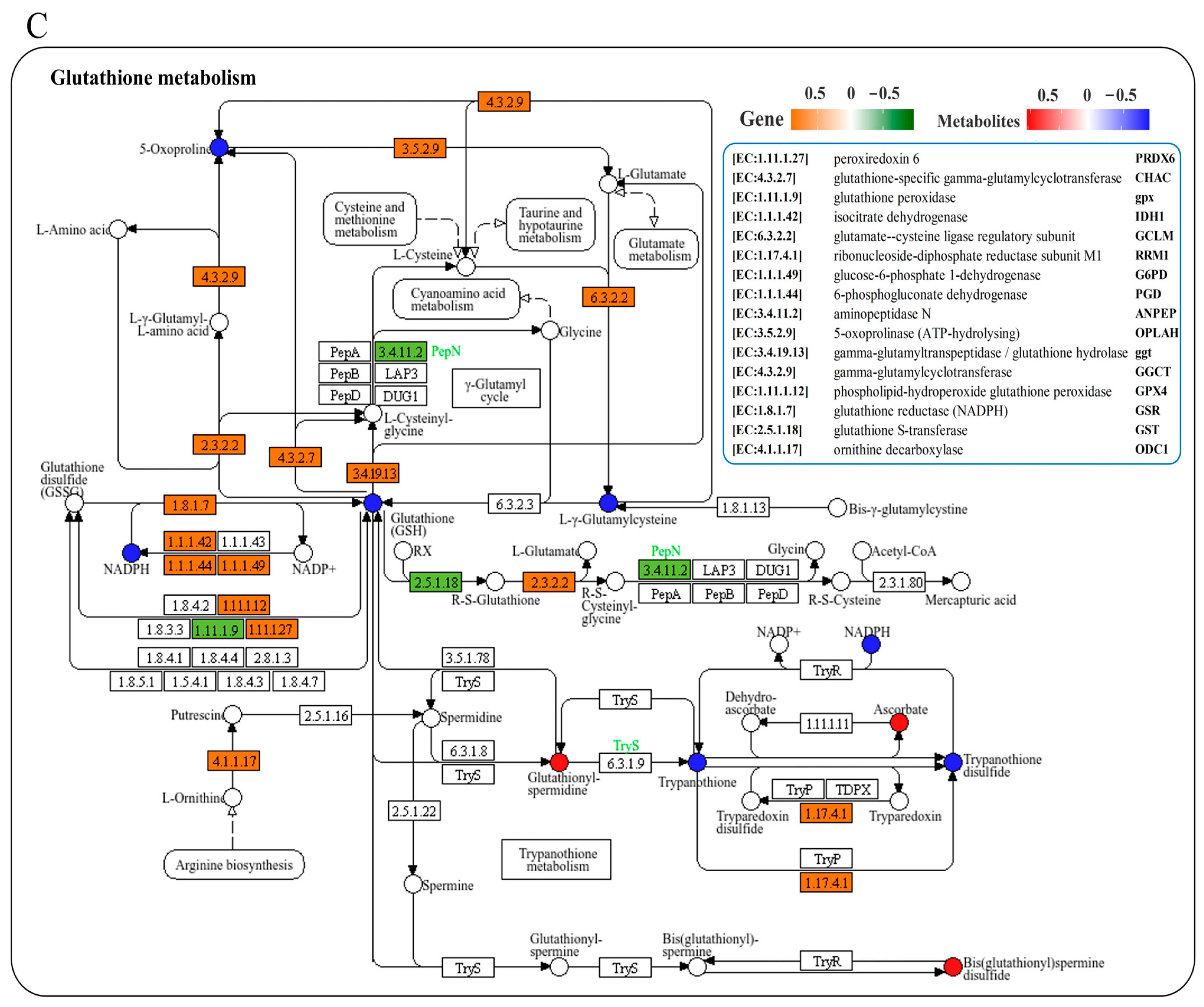 Antioxidants 14 00681 g005b