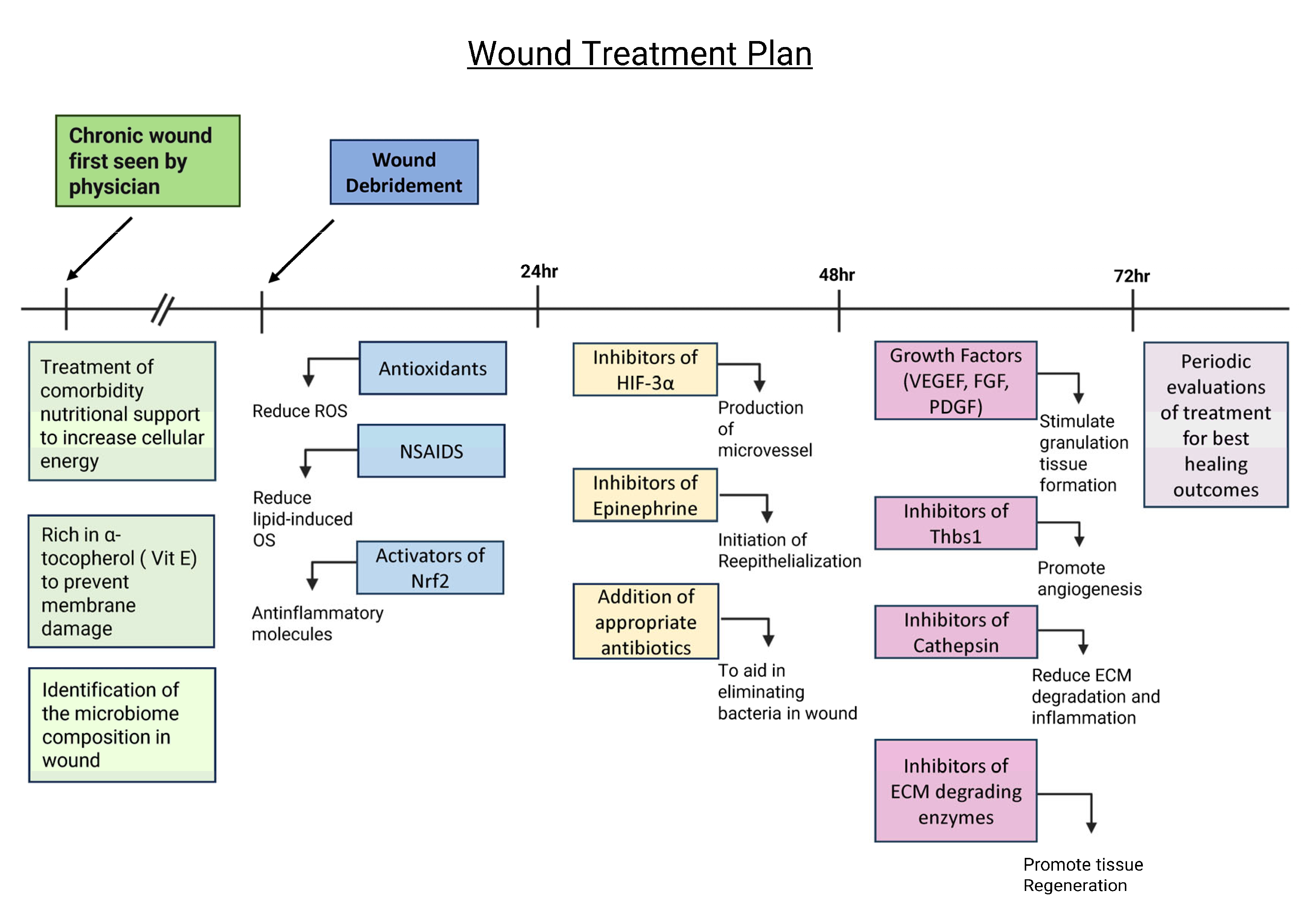 Antioxidants 14 00682 g003