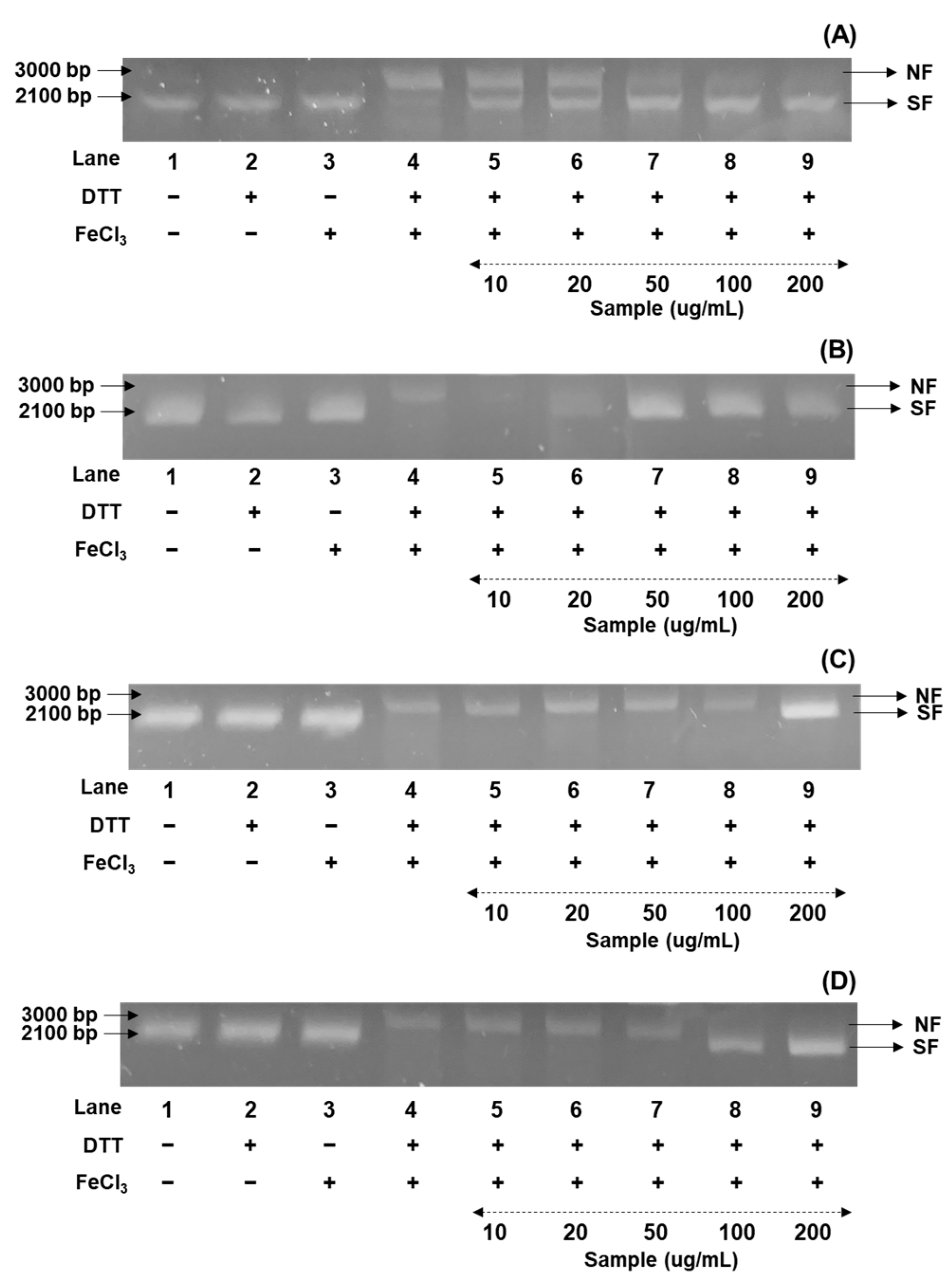 Antioxidants 14 00683 g002