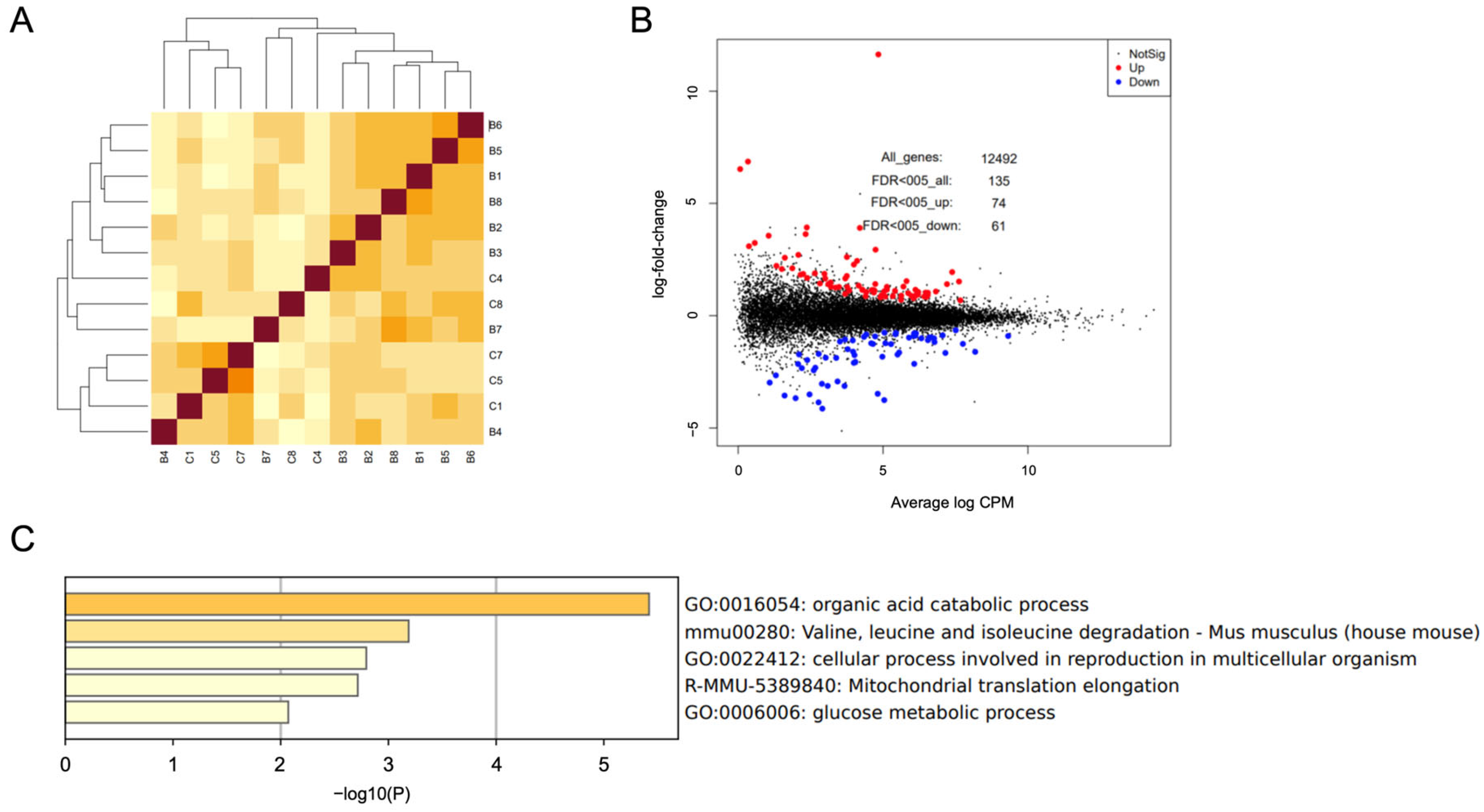 Antioxidants 14 00684 g004