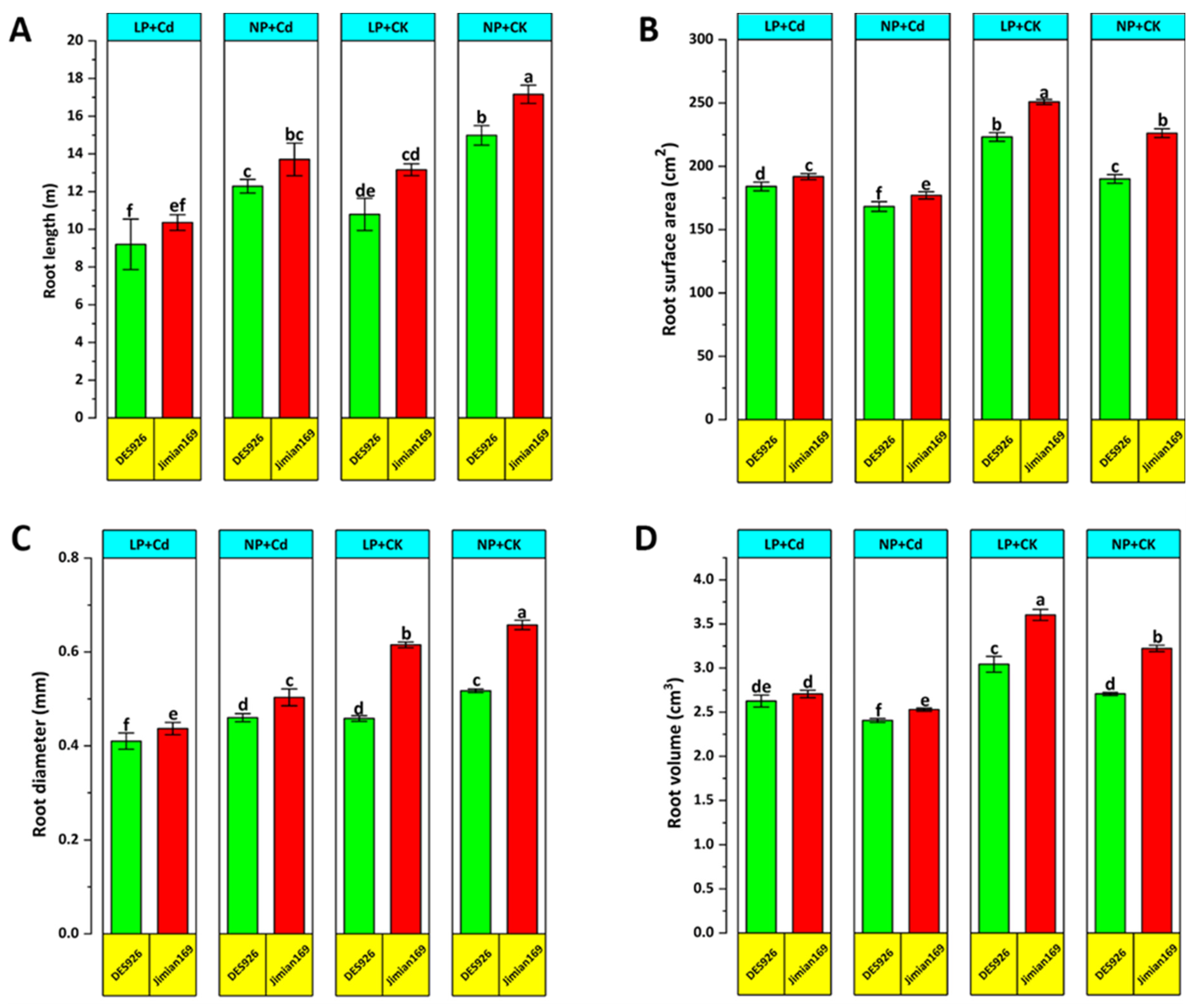 Antioxidants 14 00686 g002
