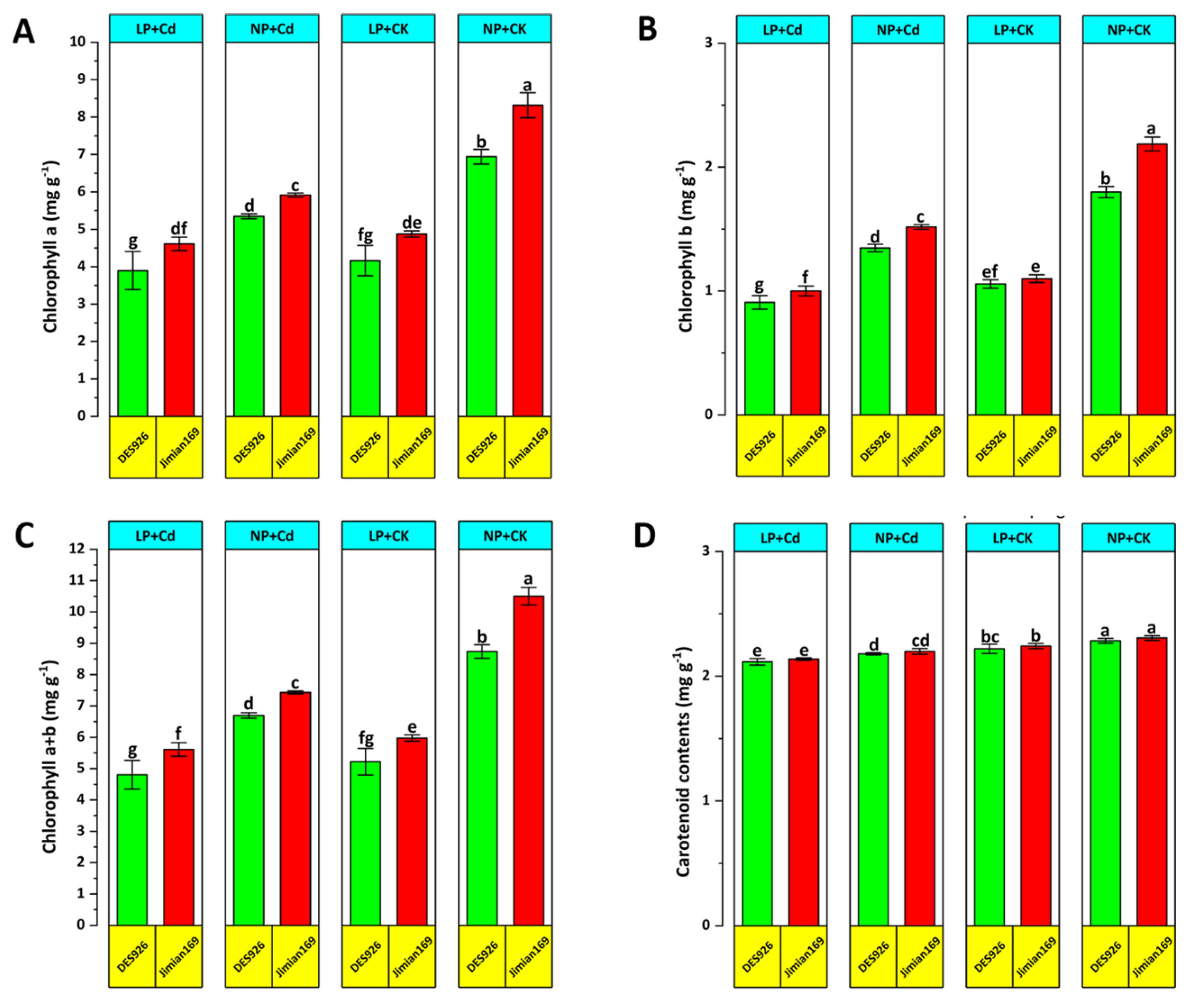 Antioxidants 14 00686 g004