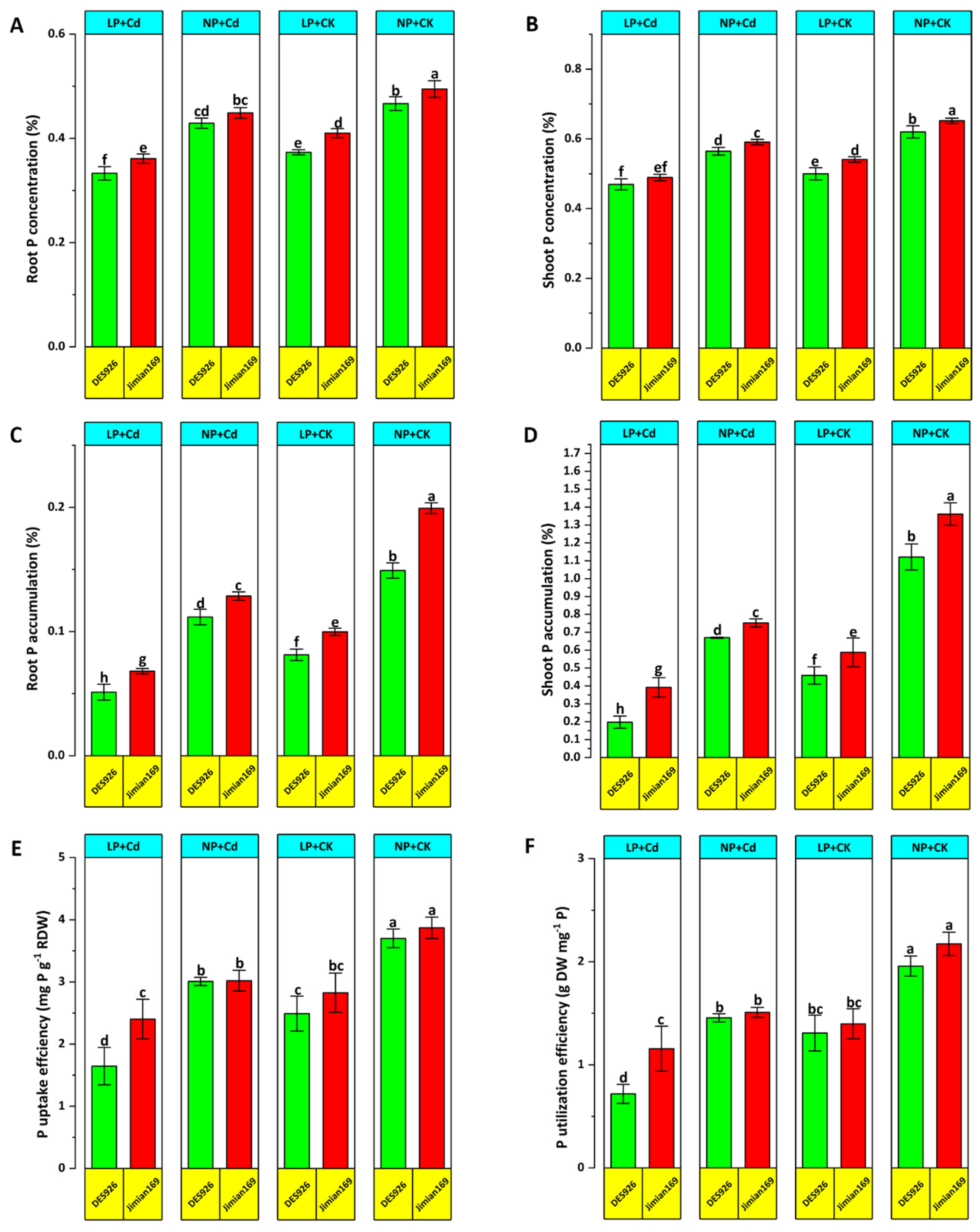 Antioxidants 14 00686 g005