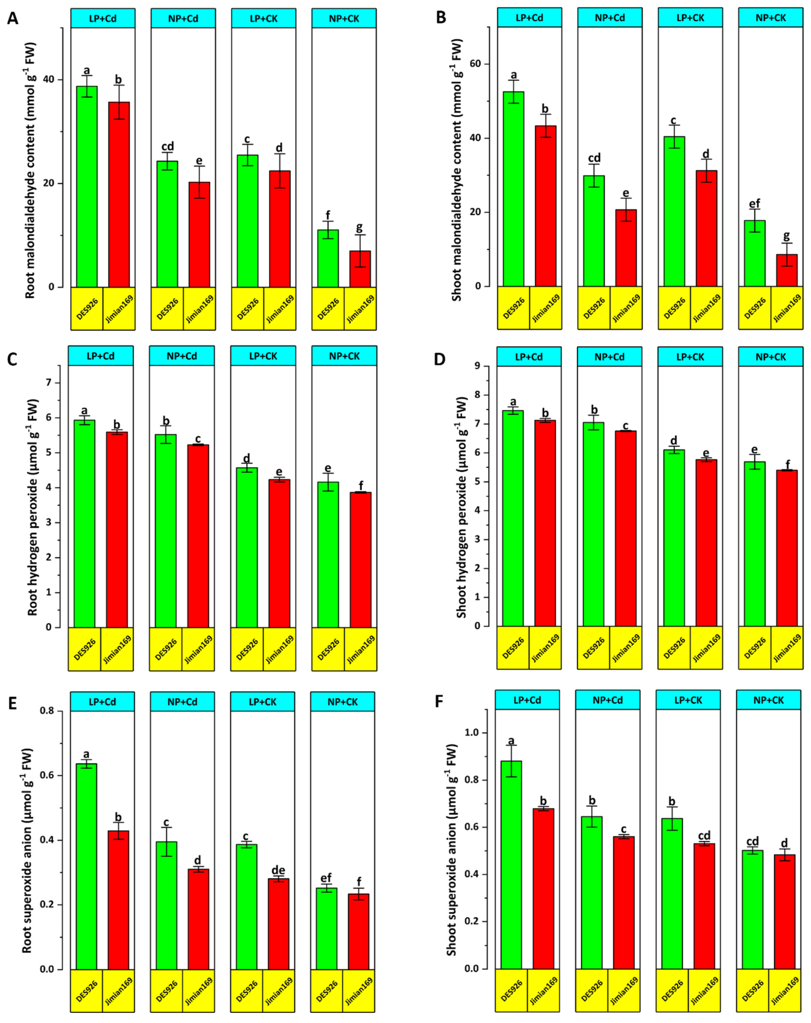 Antioxidants 14 00686 g006