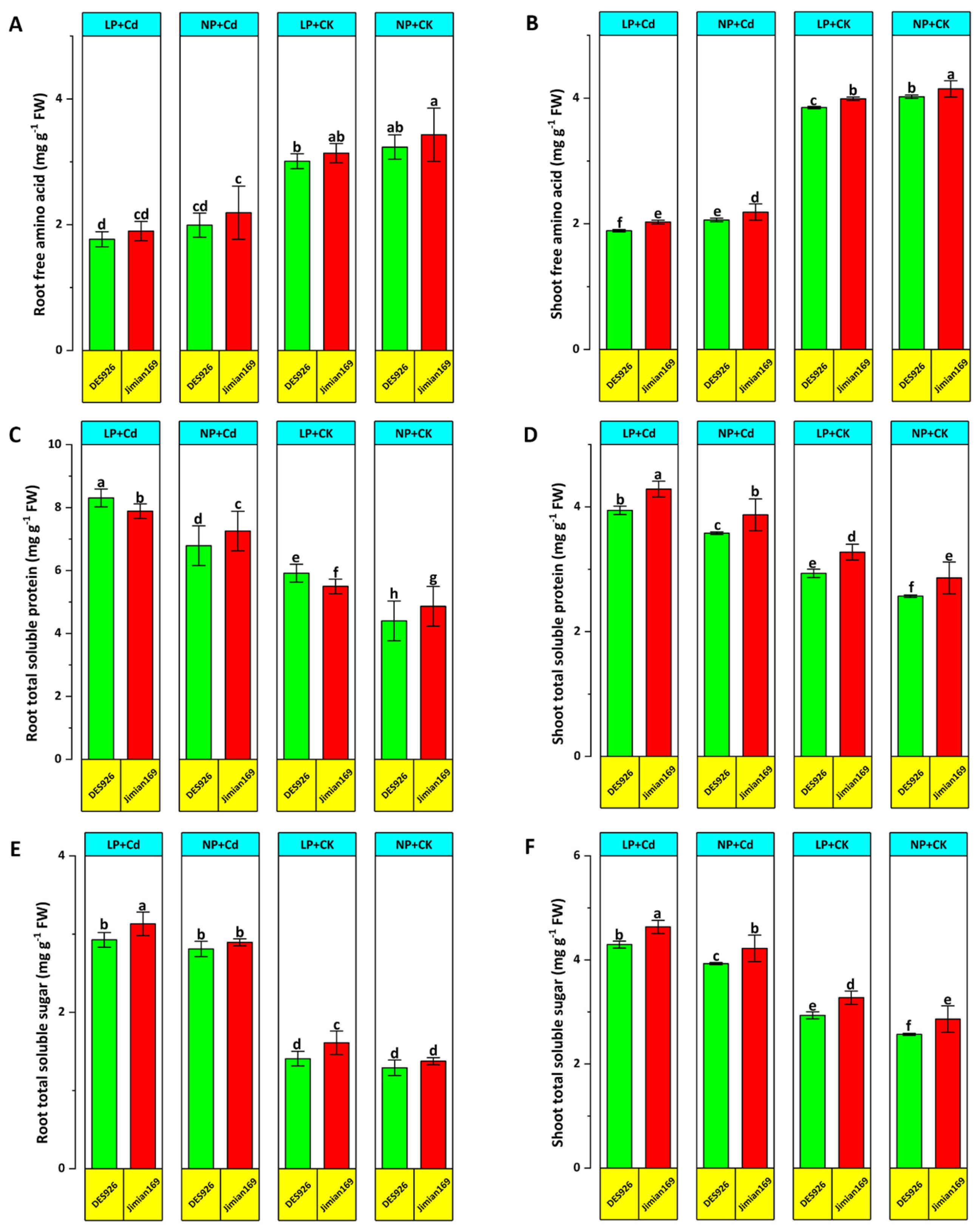 Antioxidants 14 00686 g008