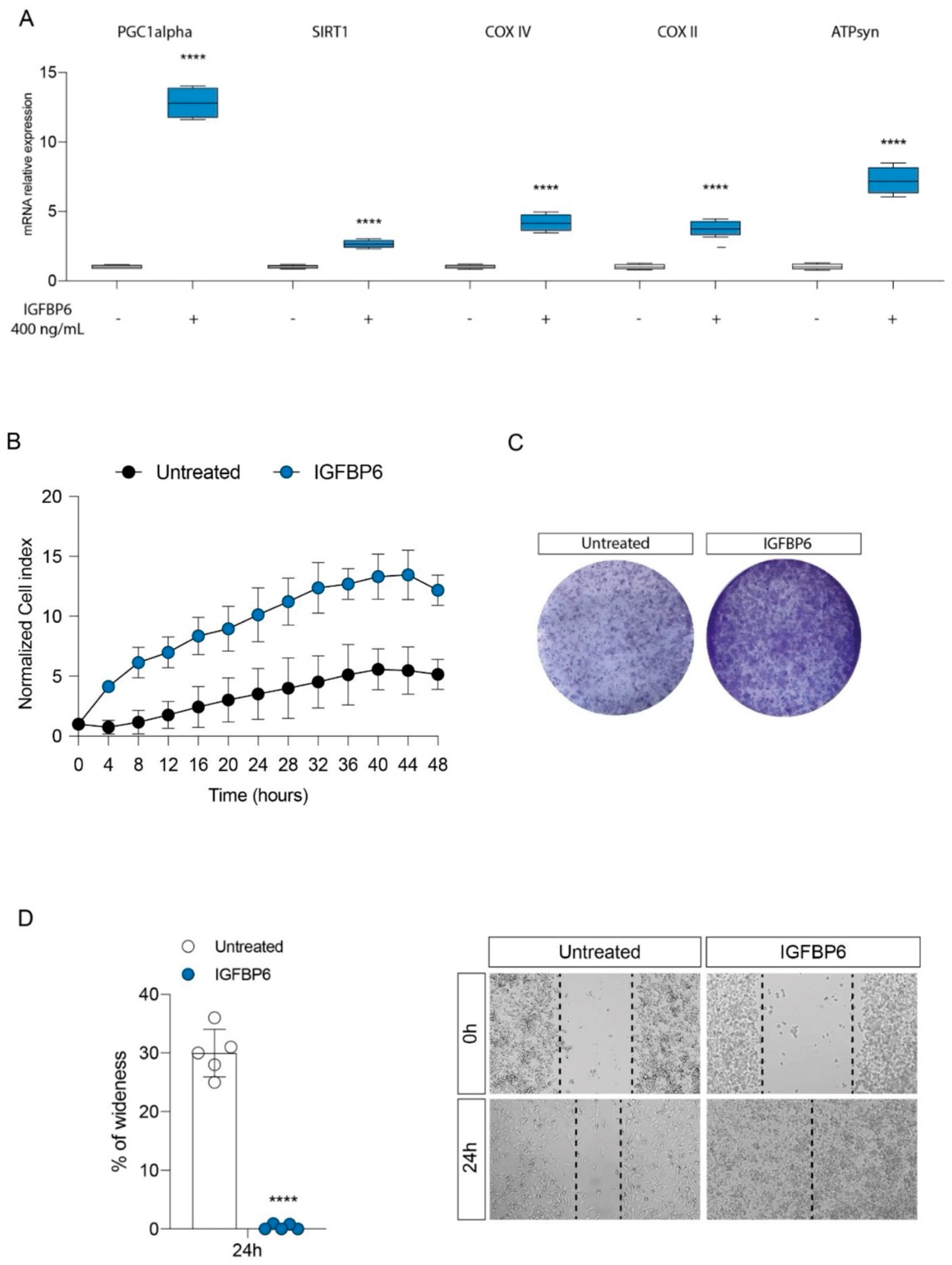 Antioxidants 14 00687 g004