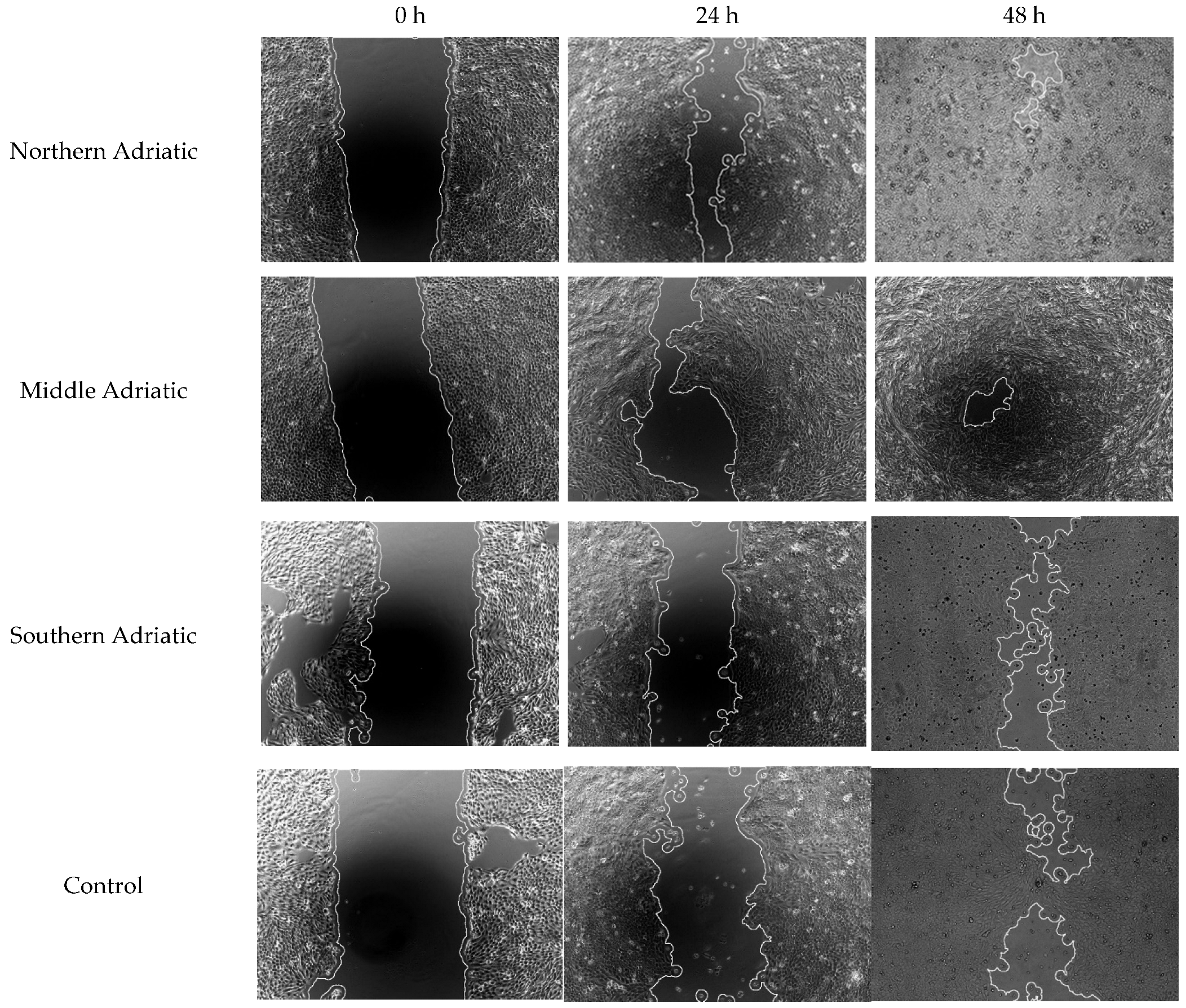 Antioxidants 14 00688 g004