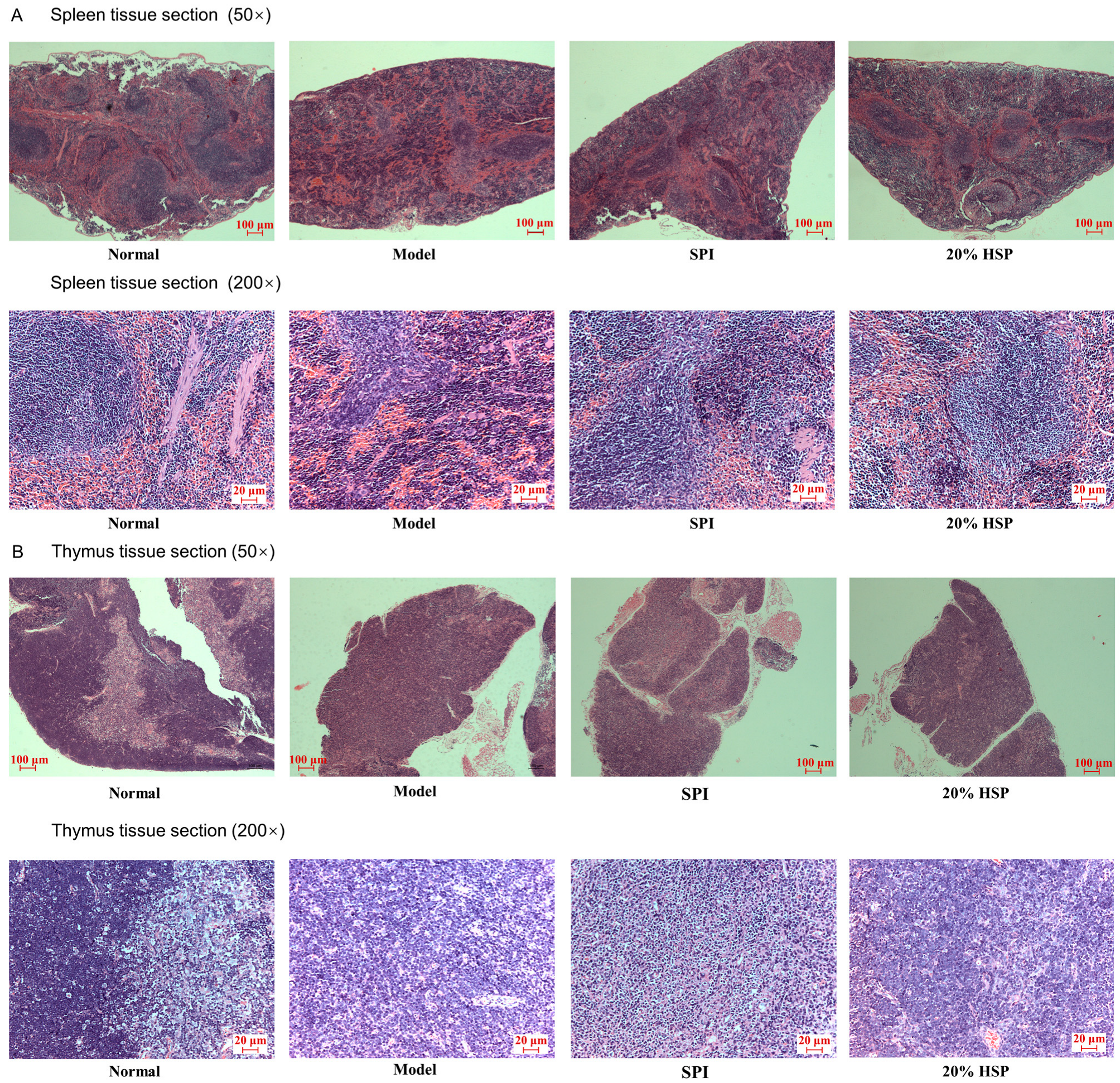 Antioxidants 14 00689 g008