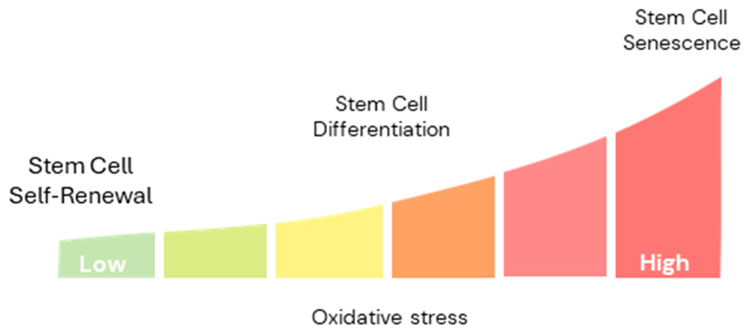 Antioxidants 14 00691 g002