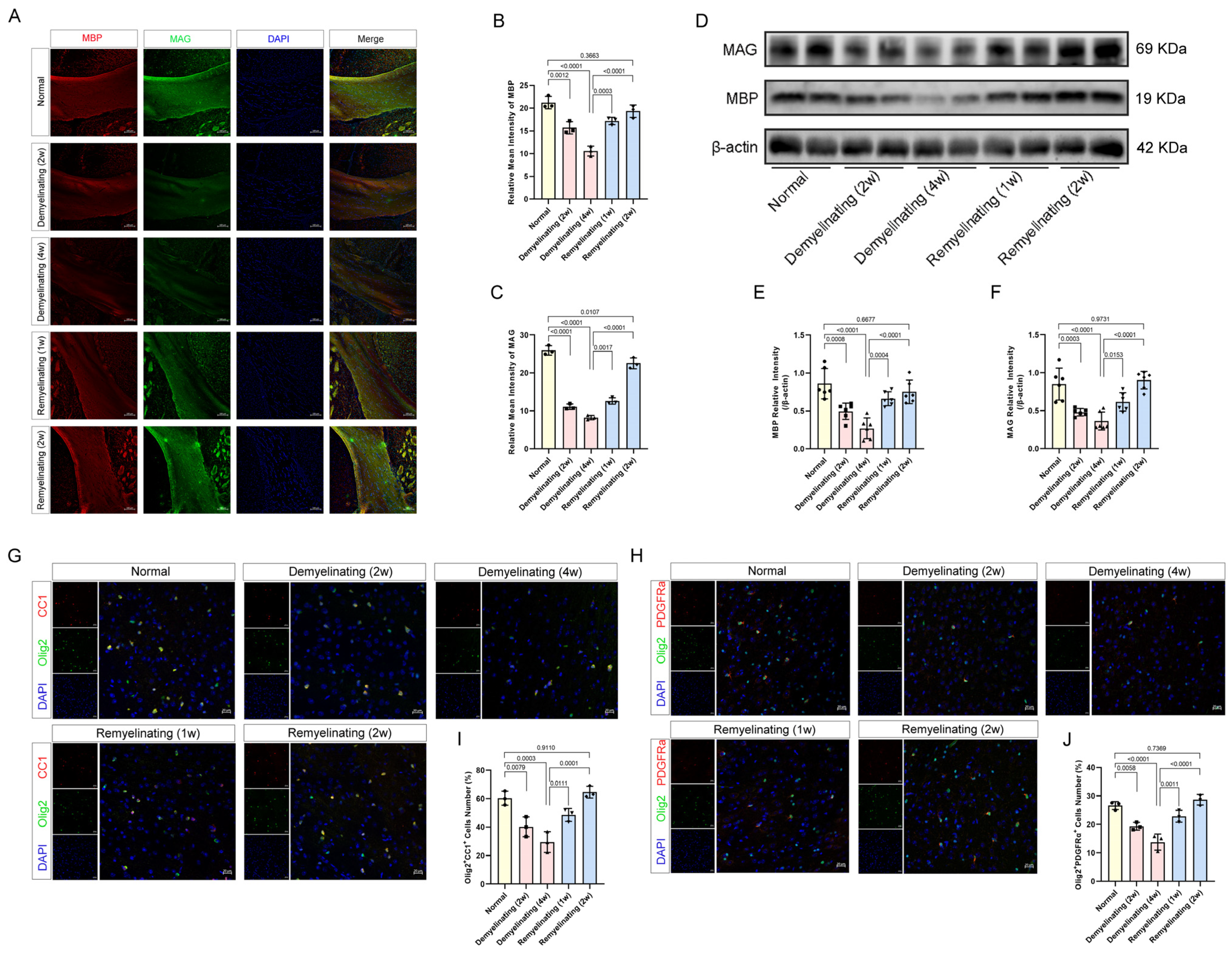 Antioxidants 14 00692 g002