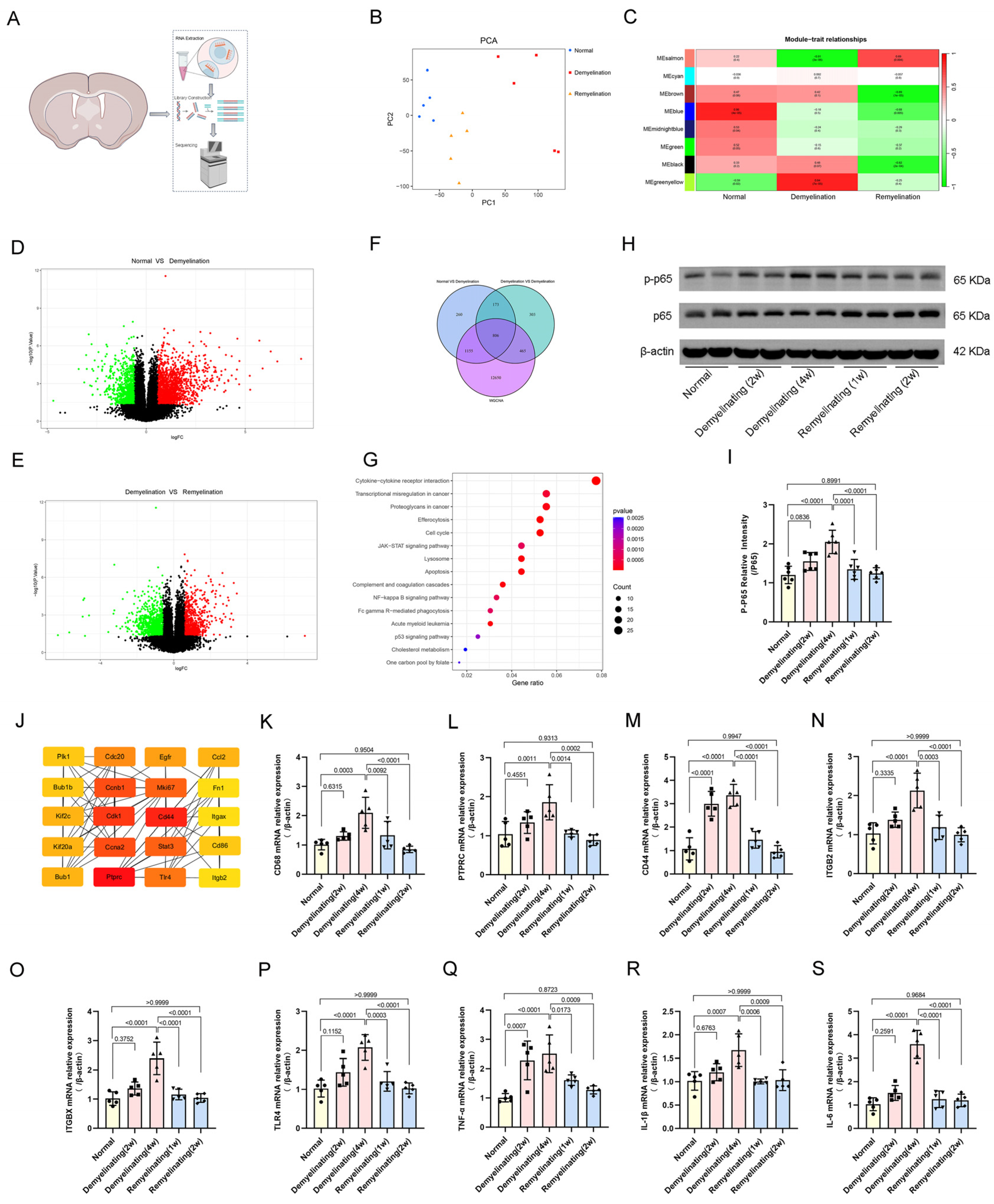 Antioxidants 14 00692 g006
