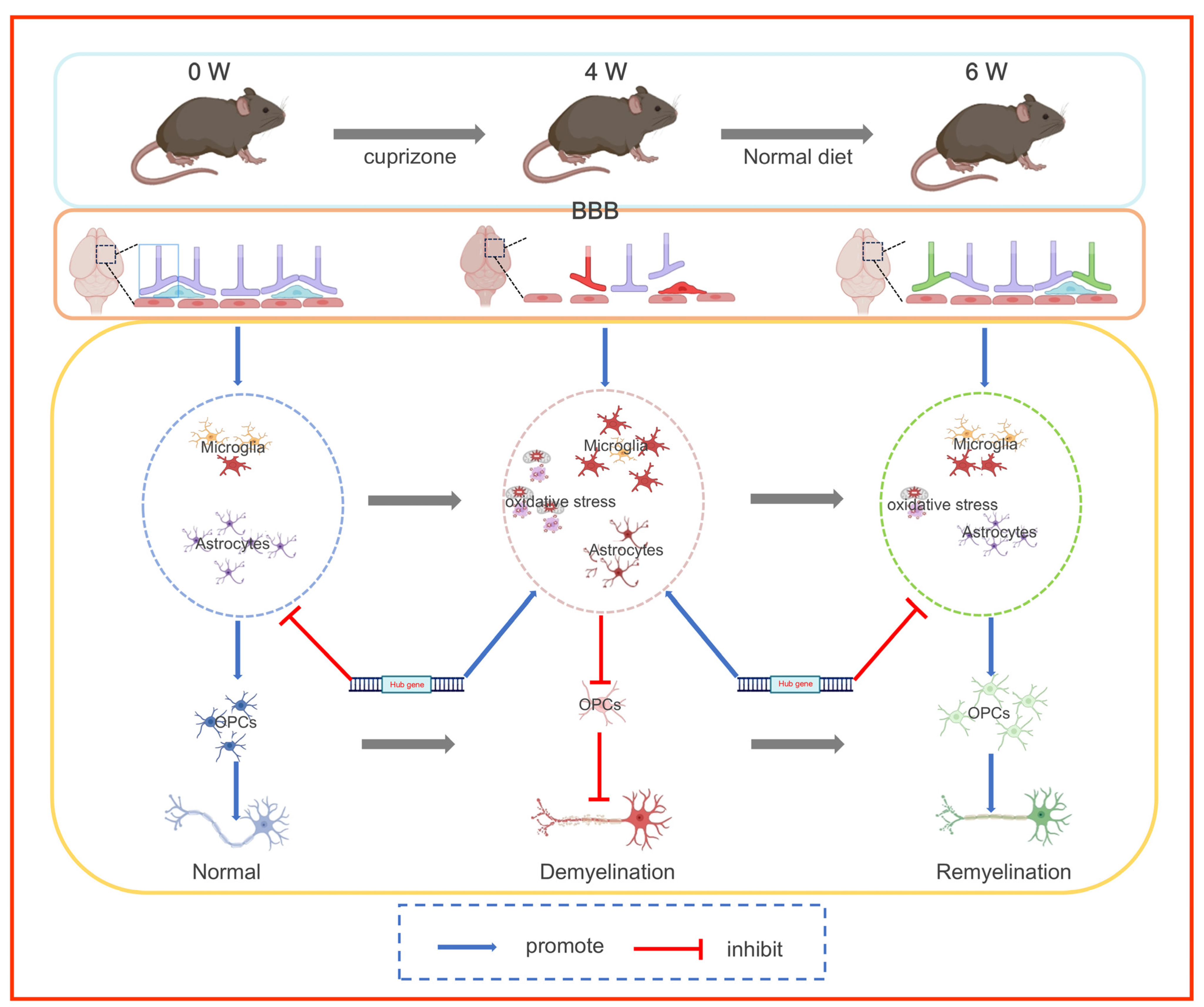 Antioxidants 14 00692 g007