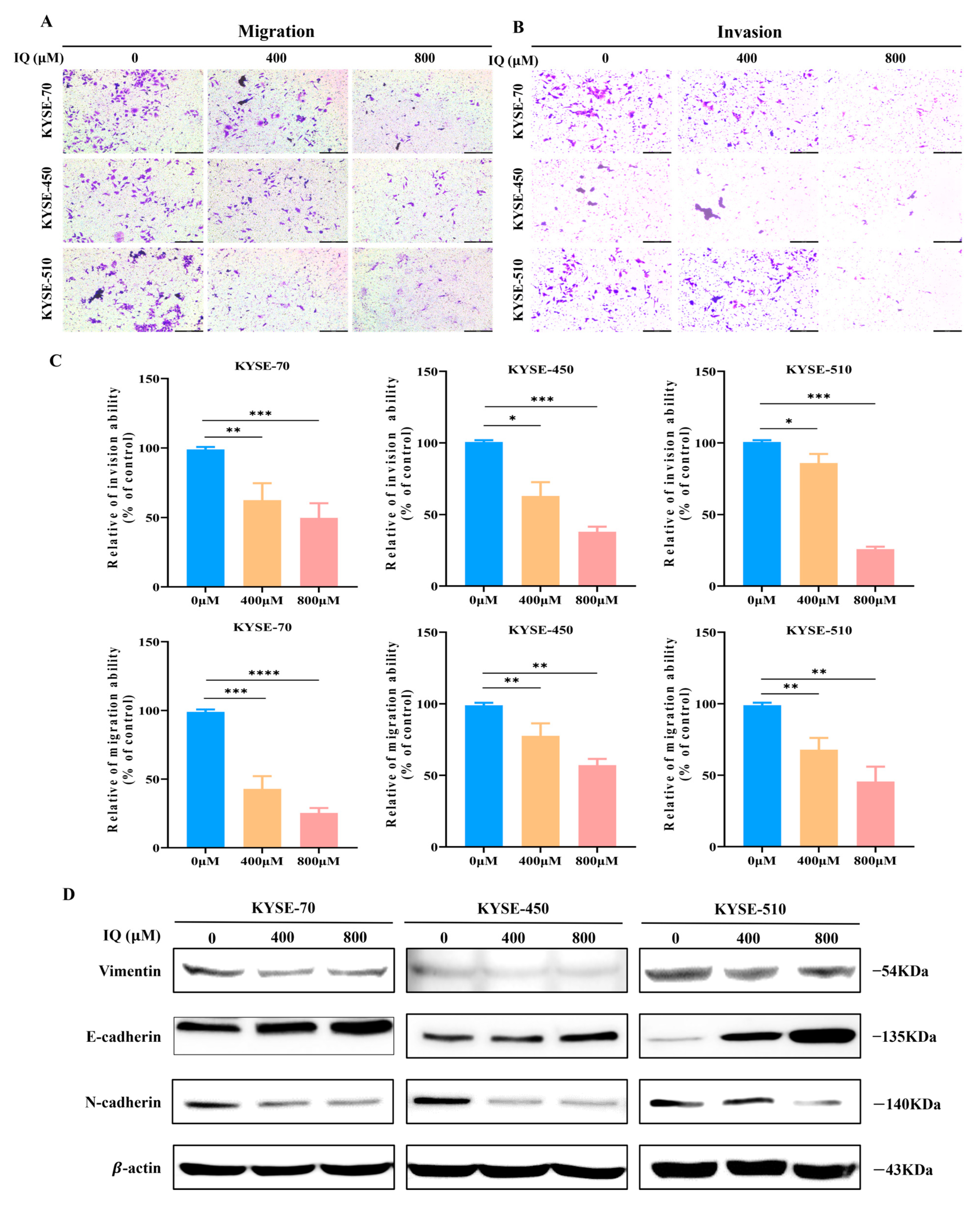 Antioxidants 14 00694 g002
