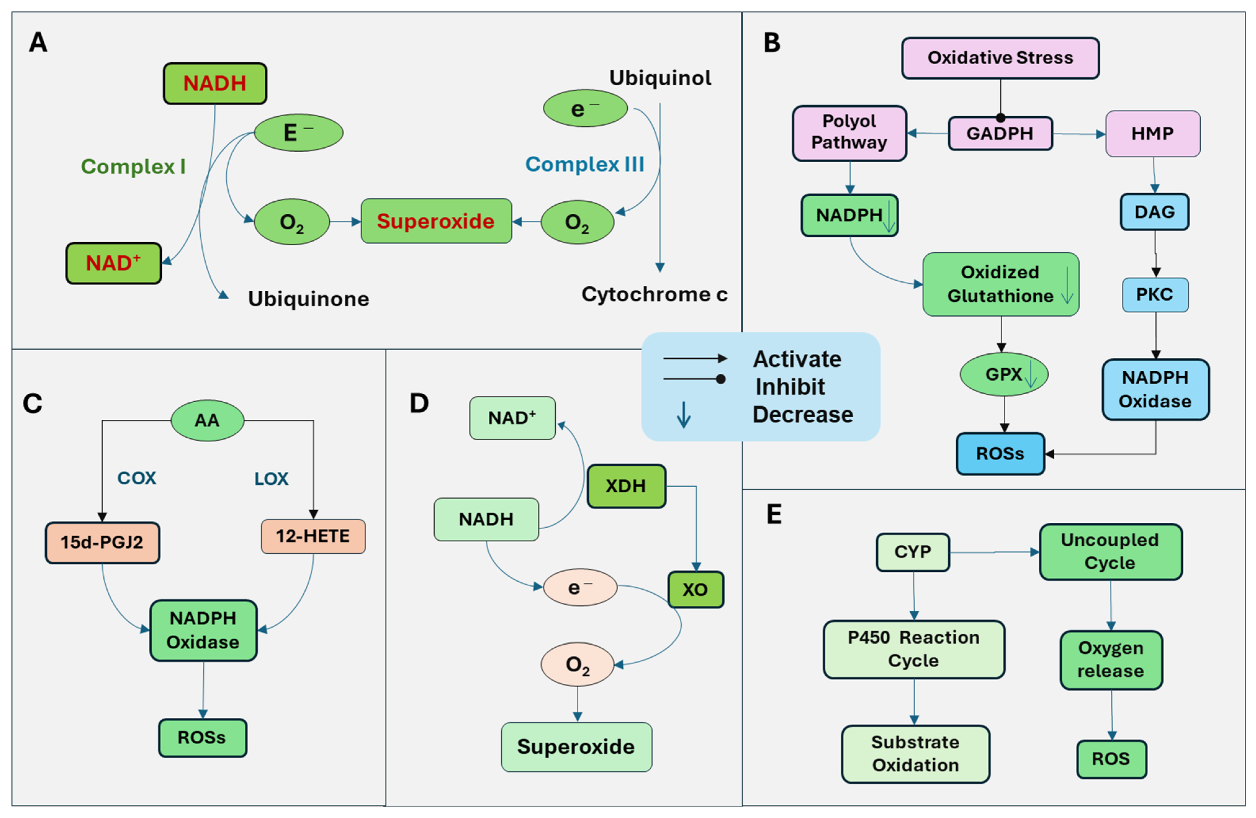 Antioxidants 14 00696 g001