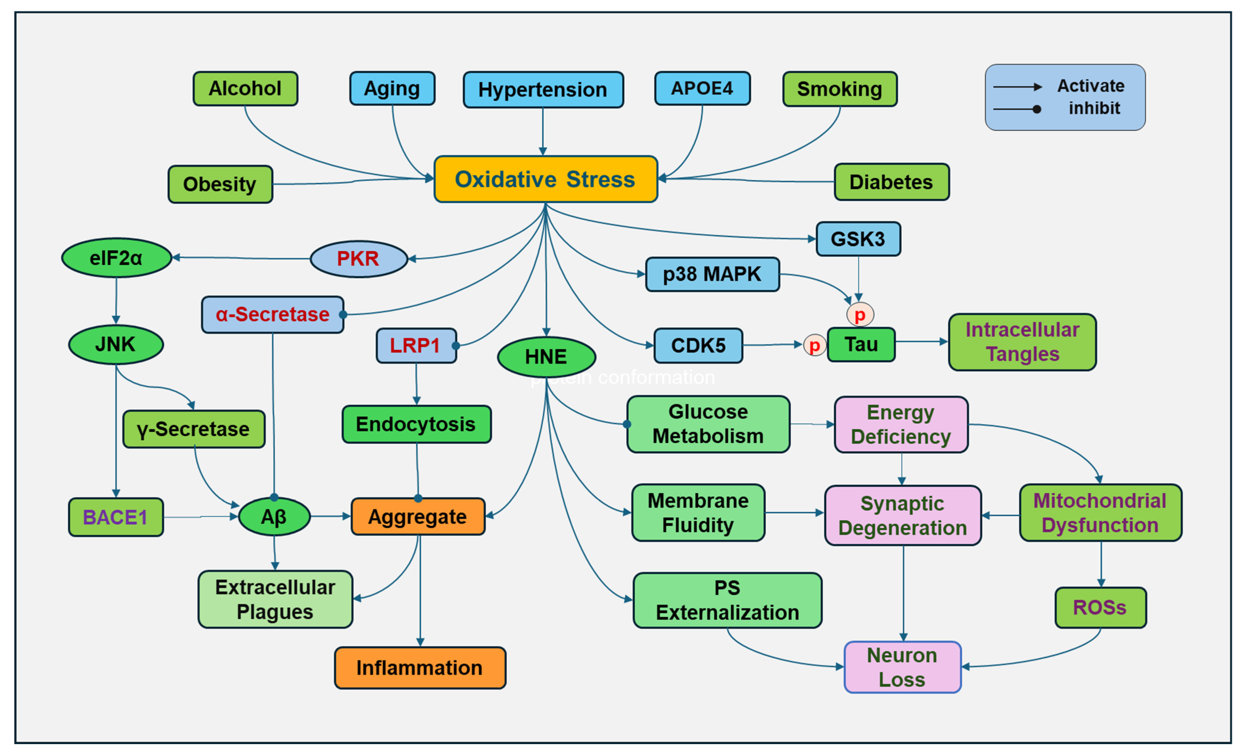 Antioxidants 14 00696 g003