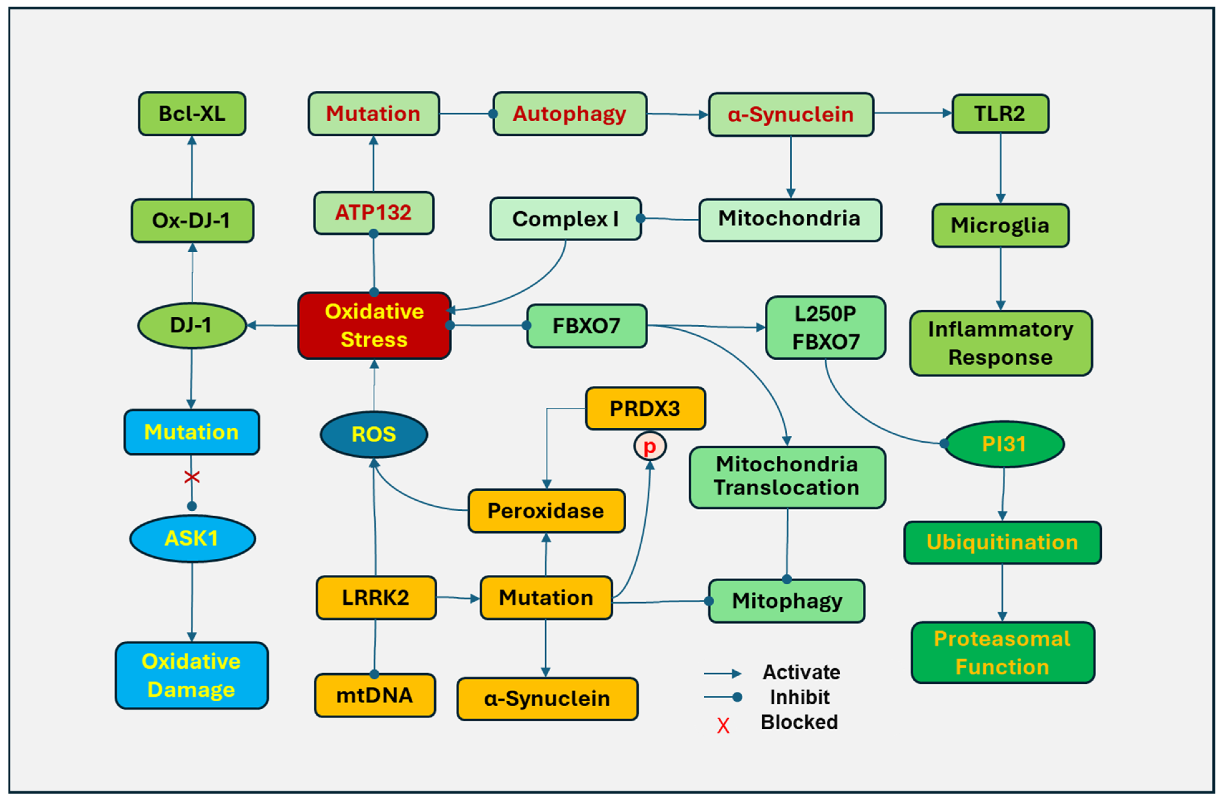 Antioxidants 14 00696 g004