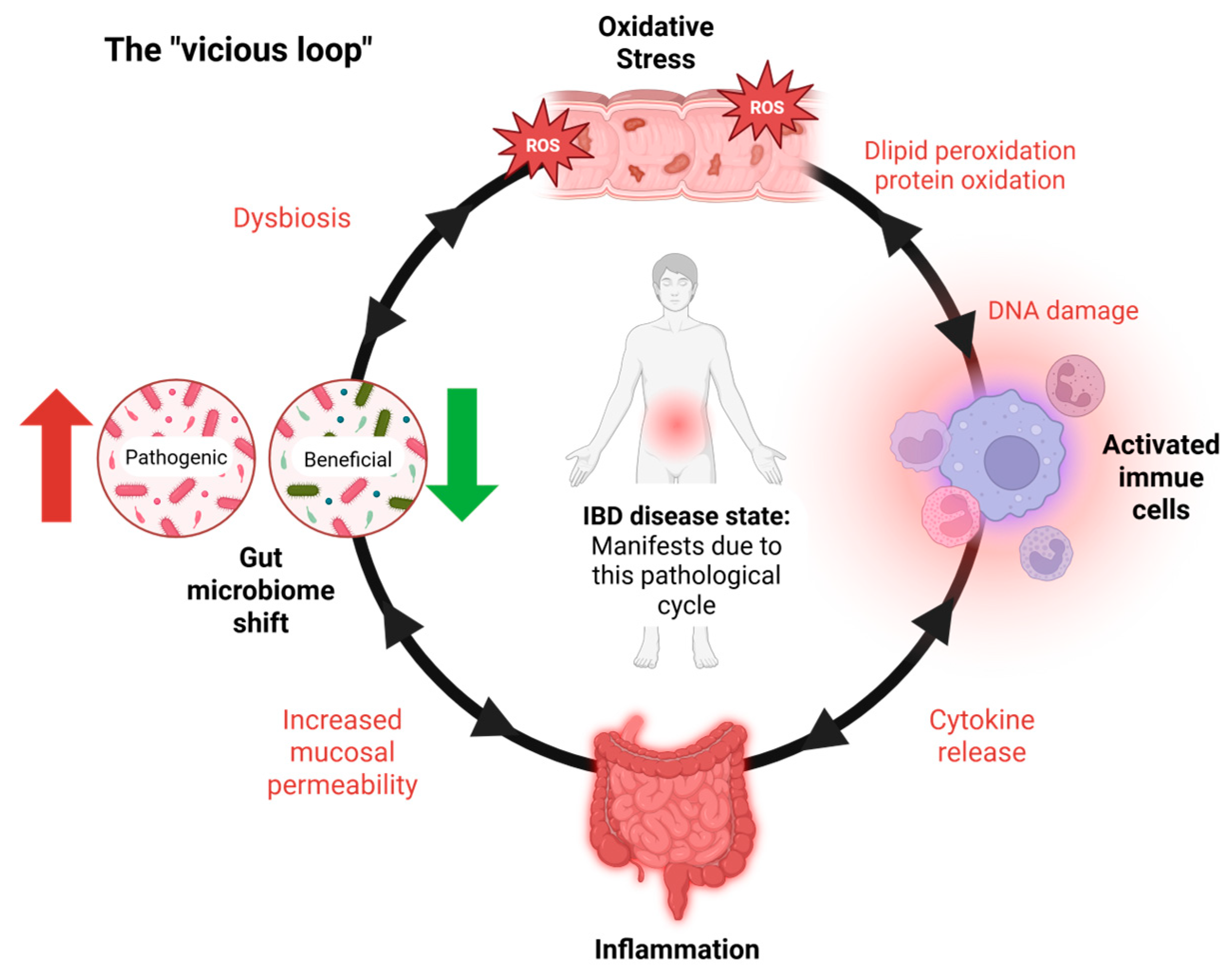 Antioxidants 14 00697 g001