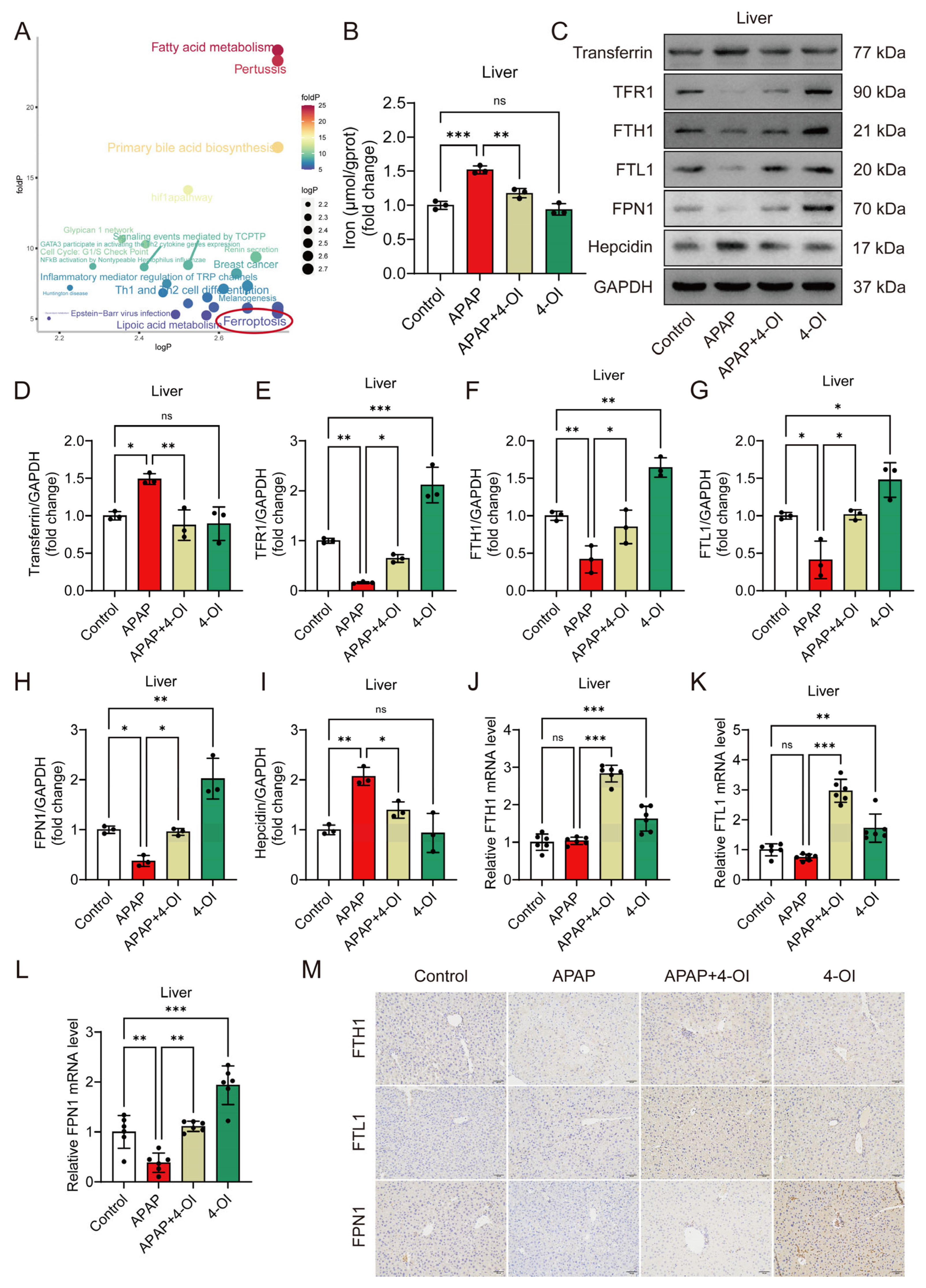 Antioxidants 14 00698 g003
