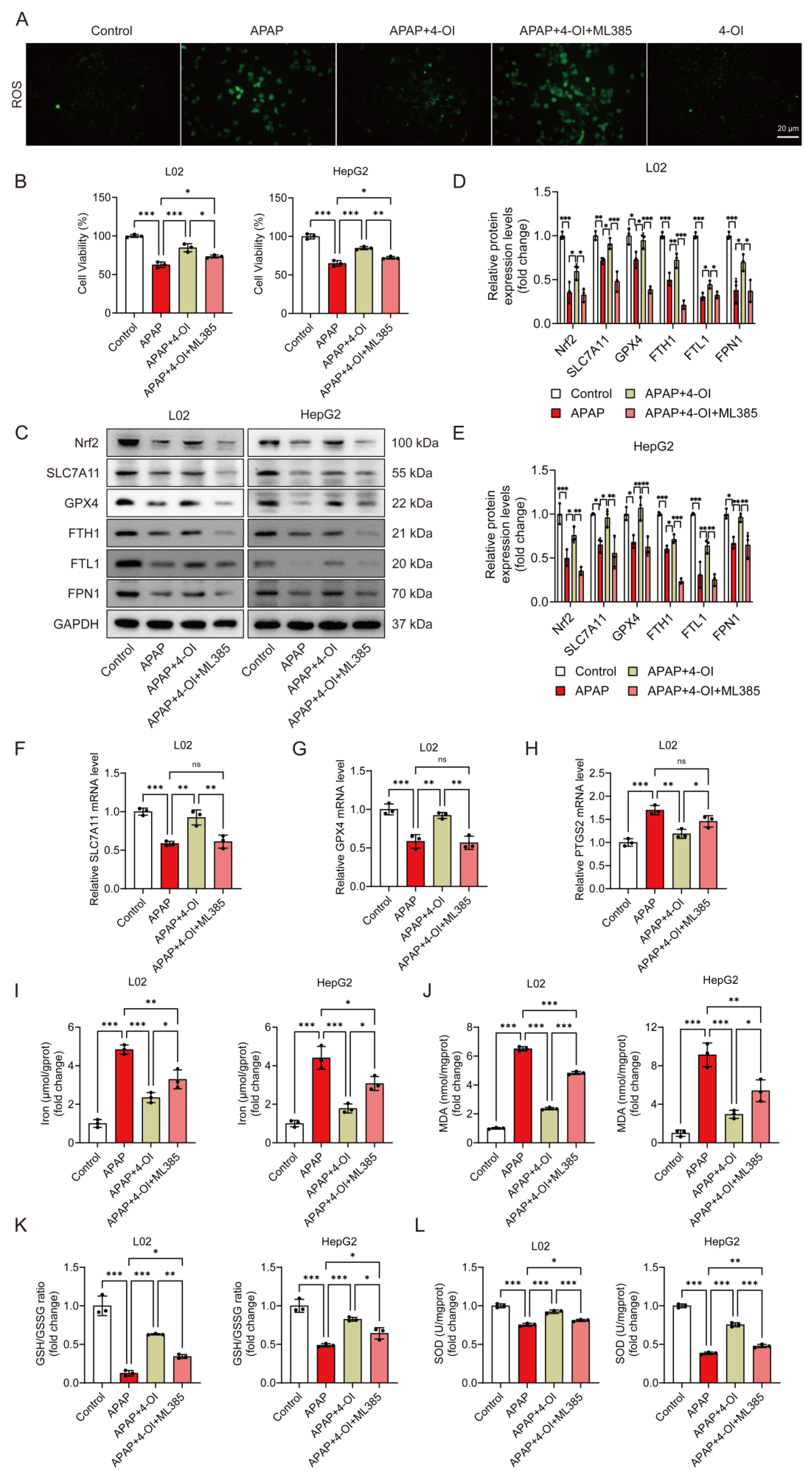 Antioxidants 14 00698 g008