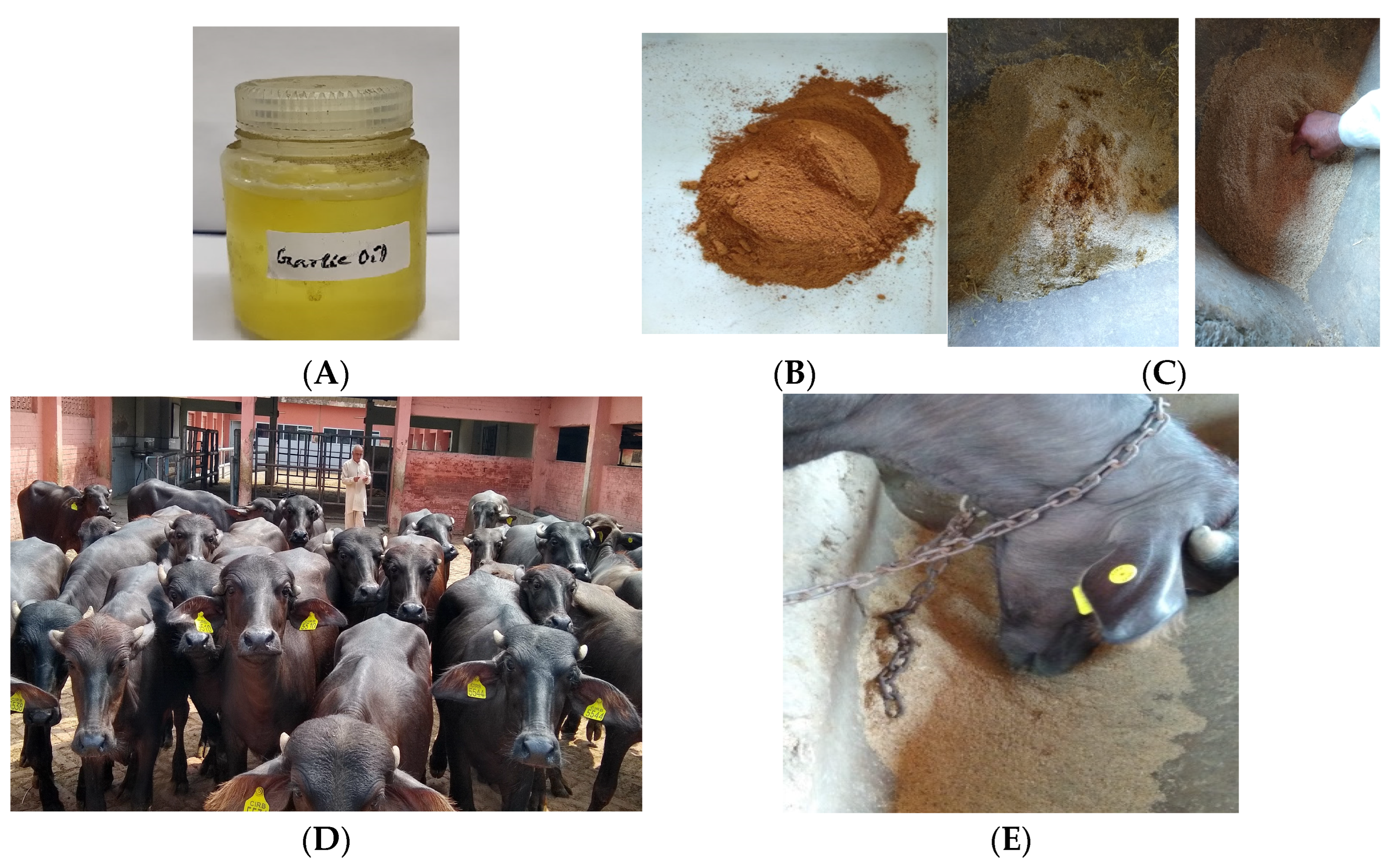 Antioxidants 14 00702 g001 Antioxidants 14 00702 g001