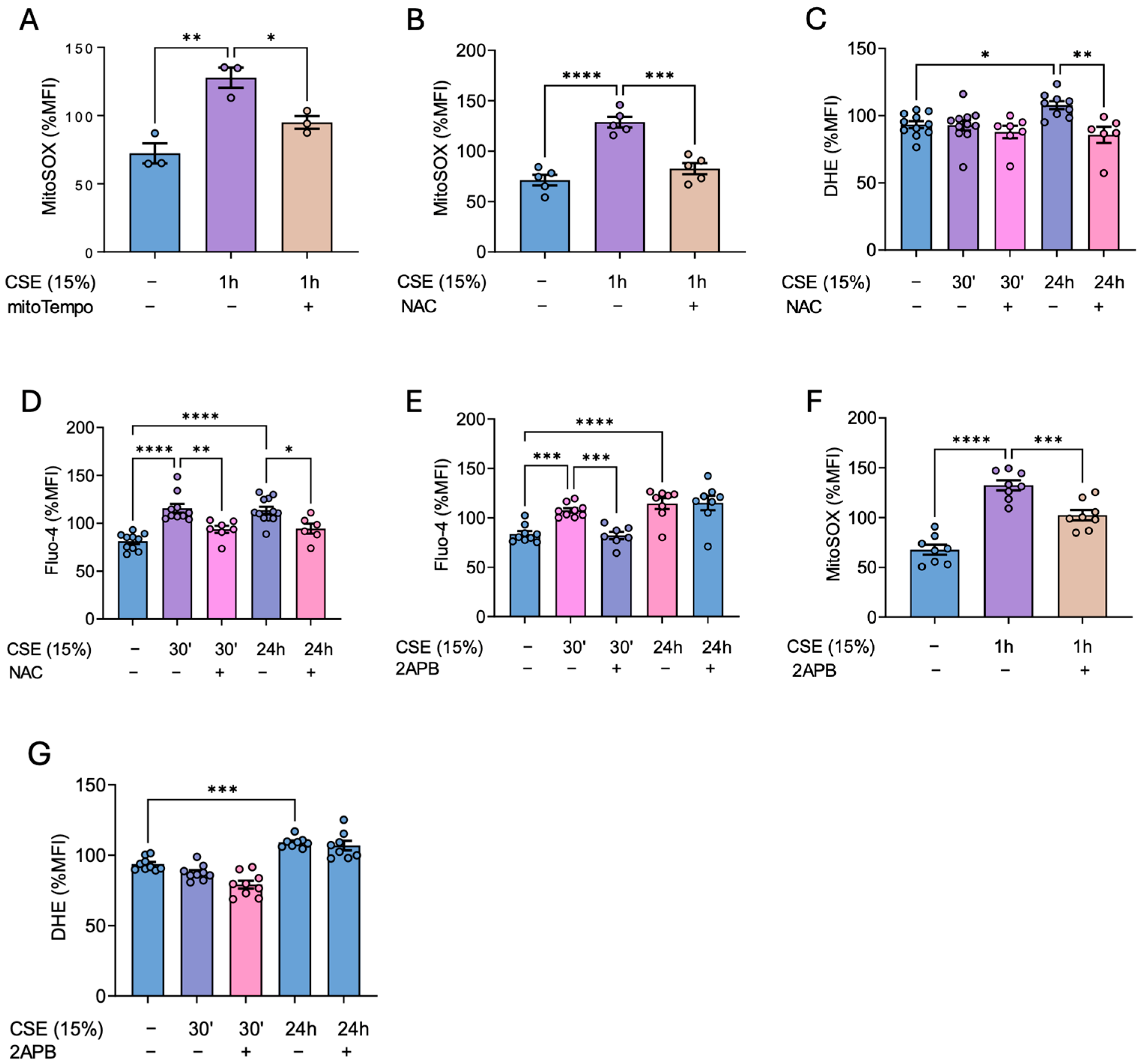 Antioxidants 14 00703 g002