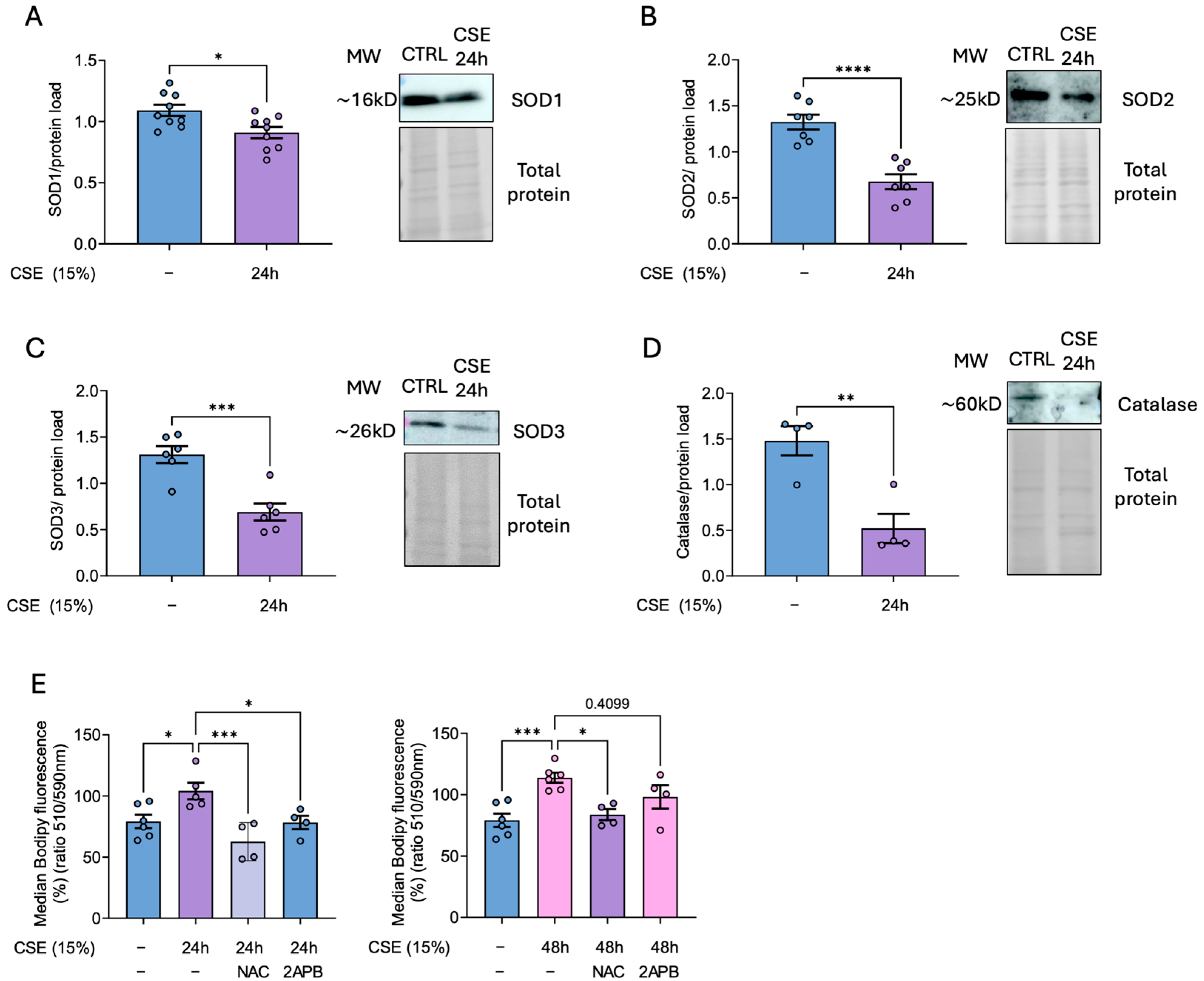 Antioxidants 14 00703 g003
