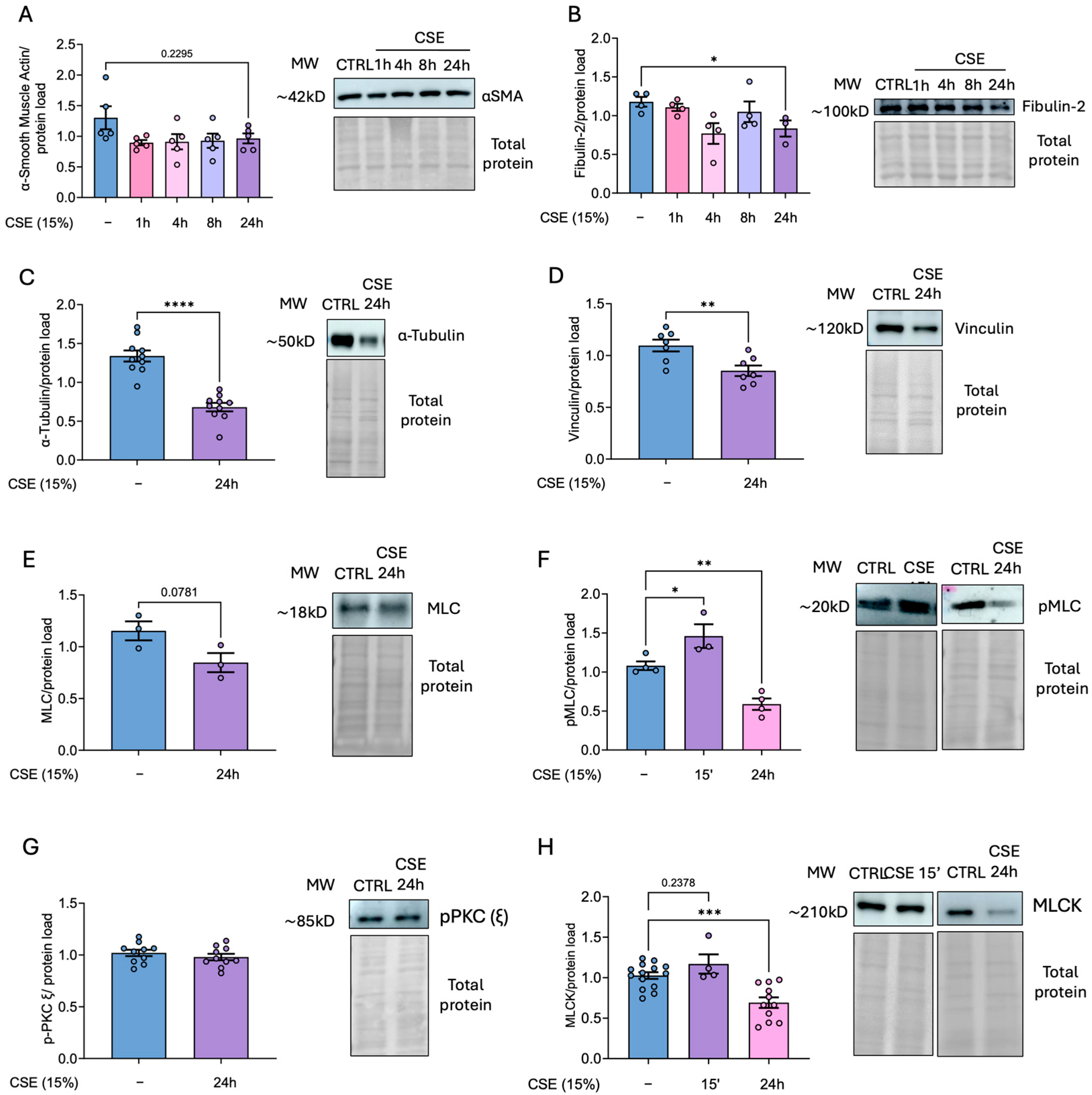 Antioxidants 14 00703 g005