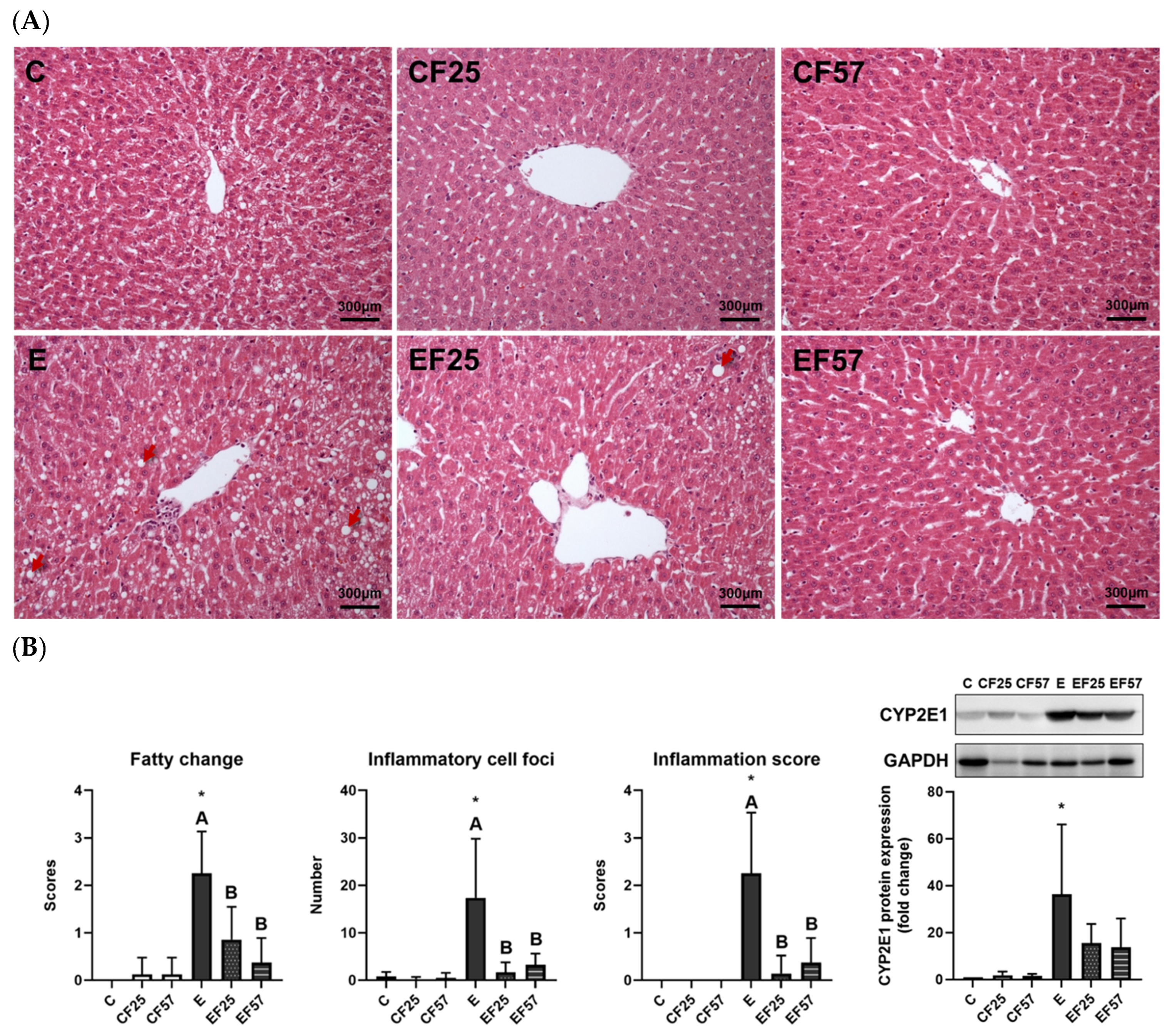 Antioxidants 14 00704 g001 Antioxidants 14 00704 g001