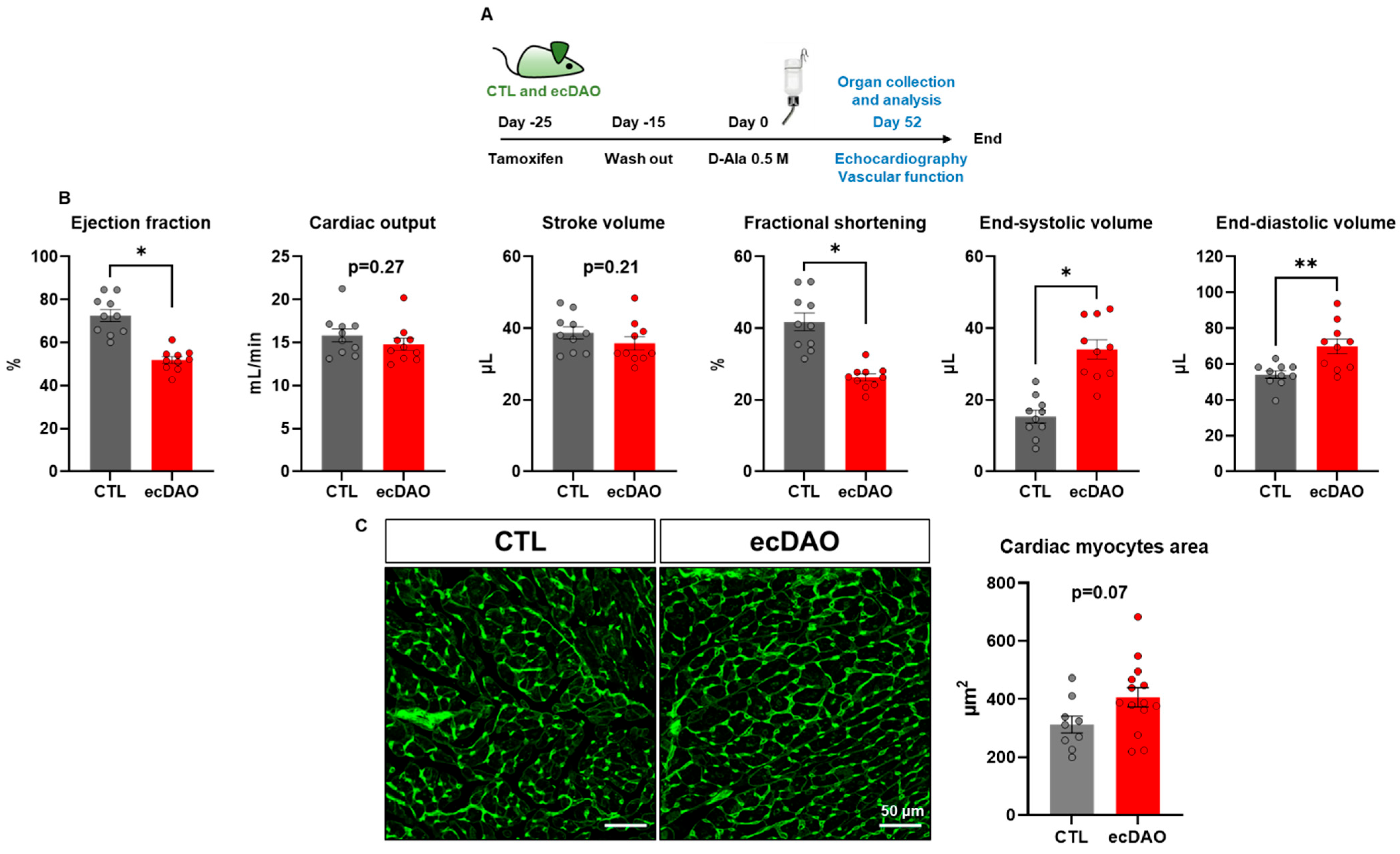 Antioxidants 14 00705 g003