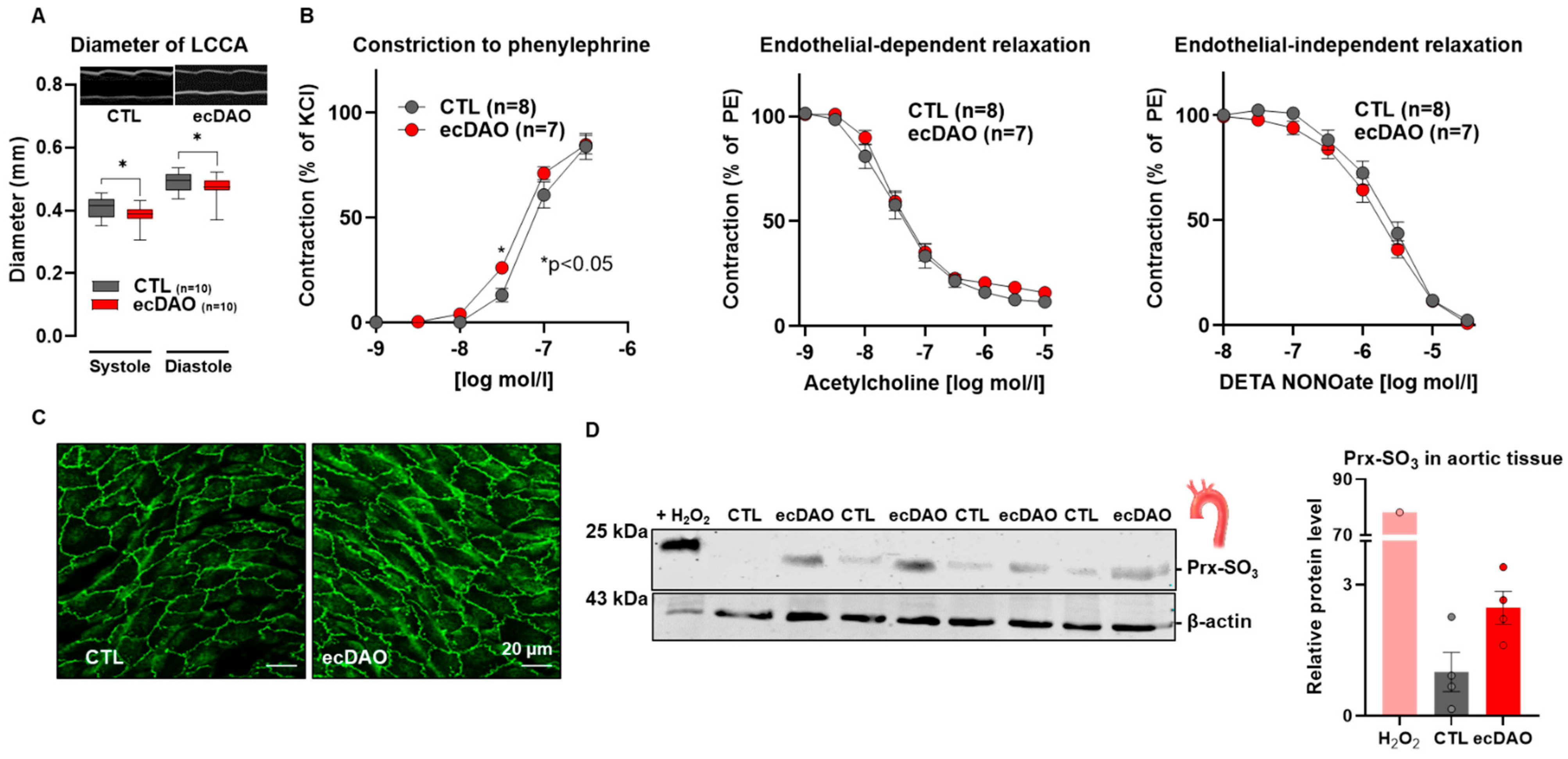 Antioxidants 14 00705 g004