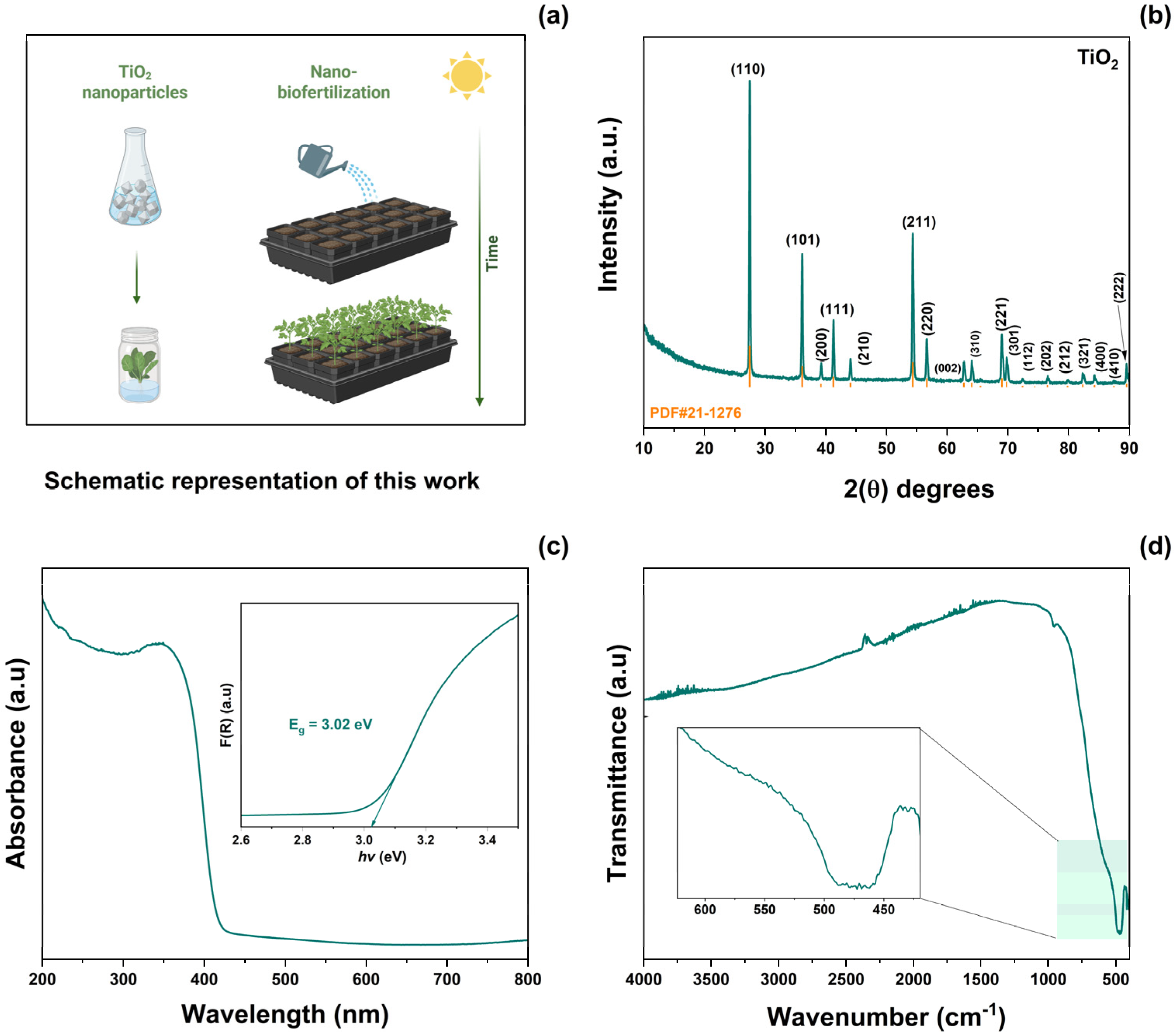 Antioxidants 14 00707 g001