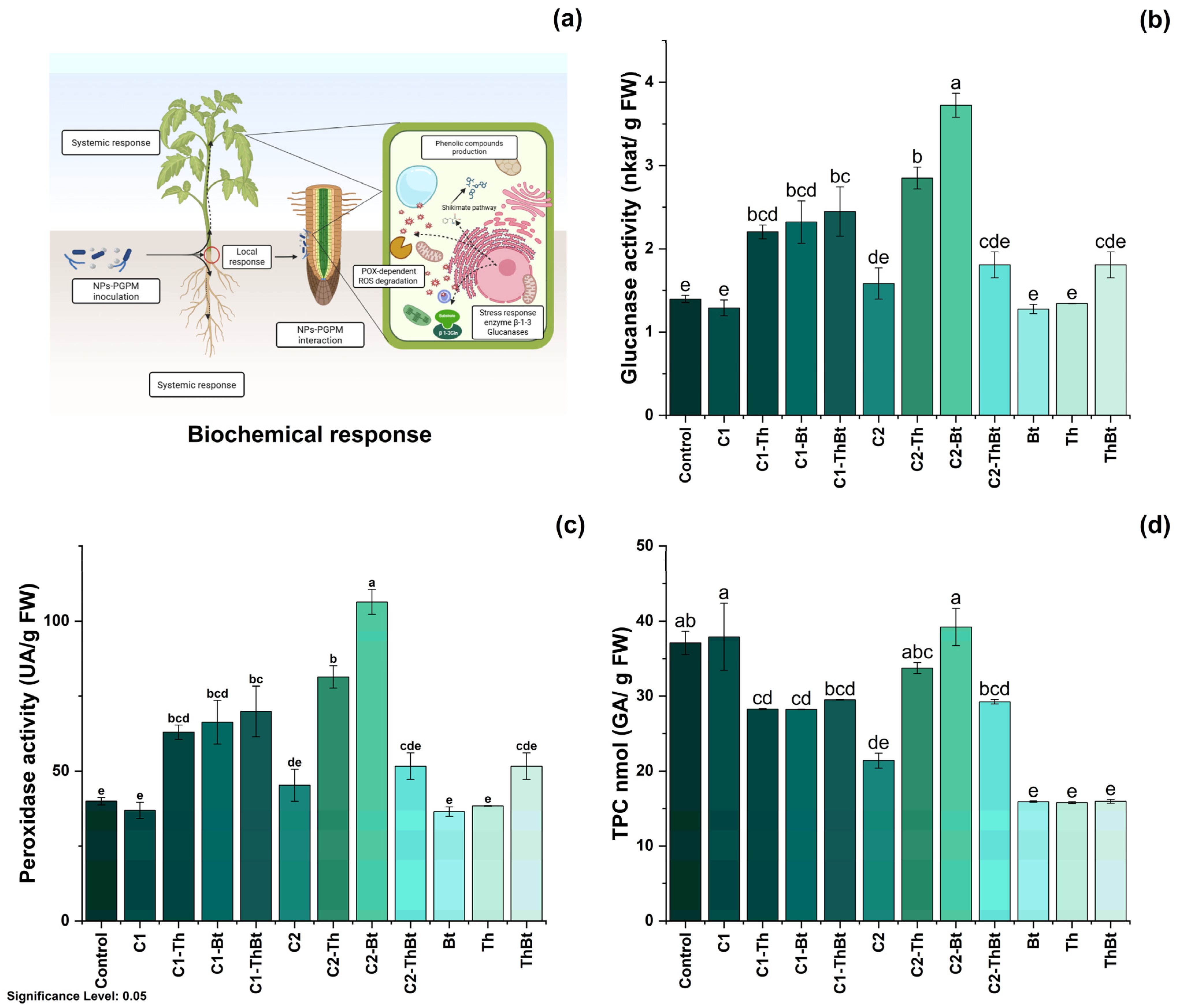 Antioxidants 14 00707 g005