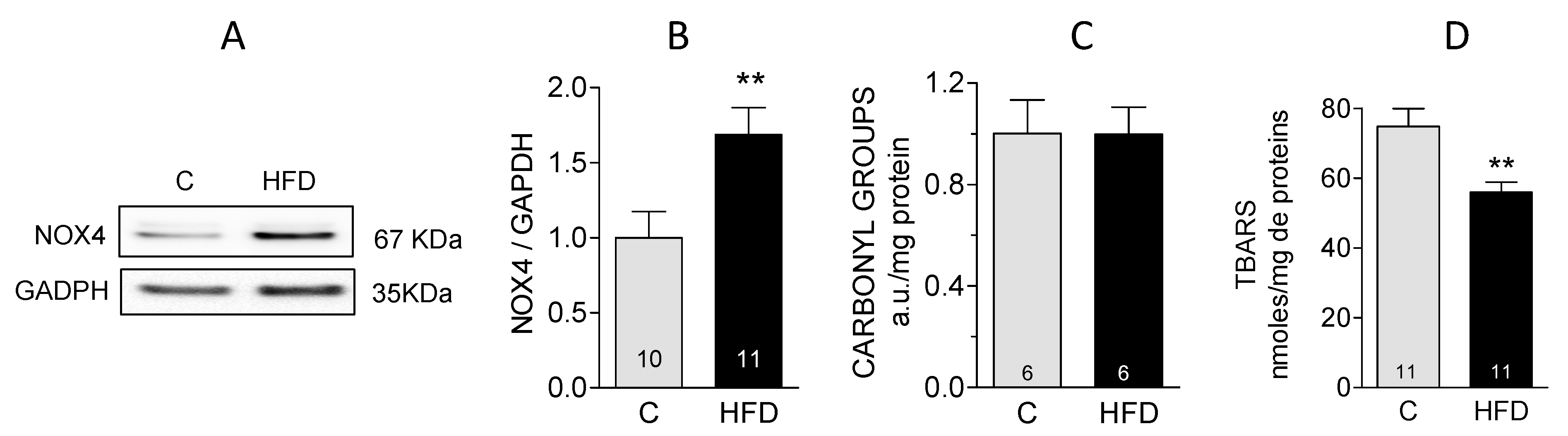 Antioxidants 14 00708 g002