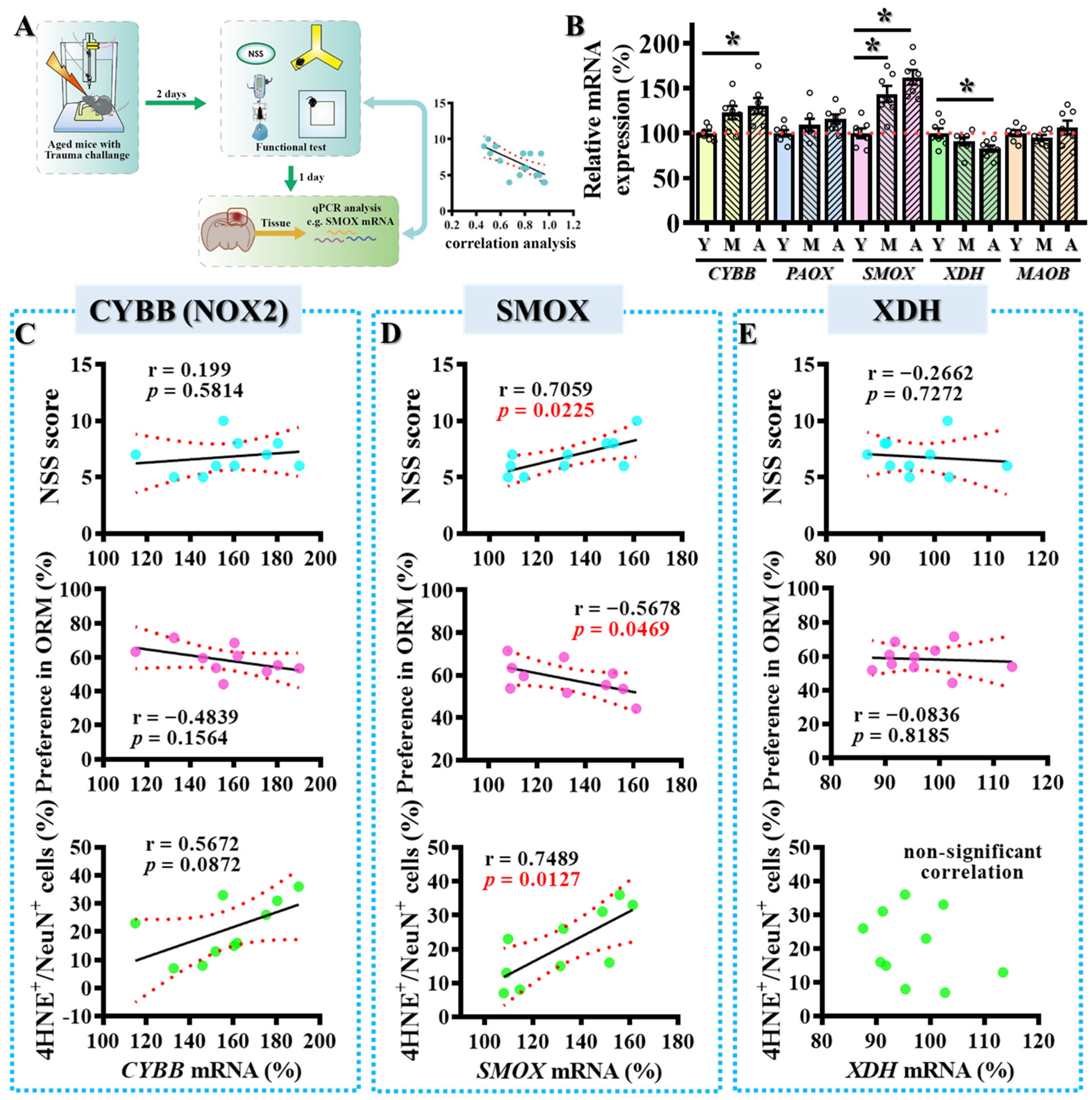 Antioxidants 14 00709 g002