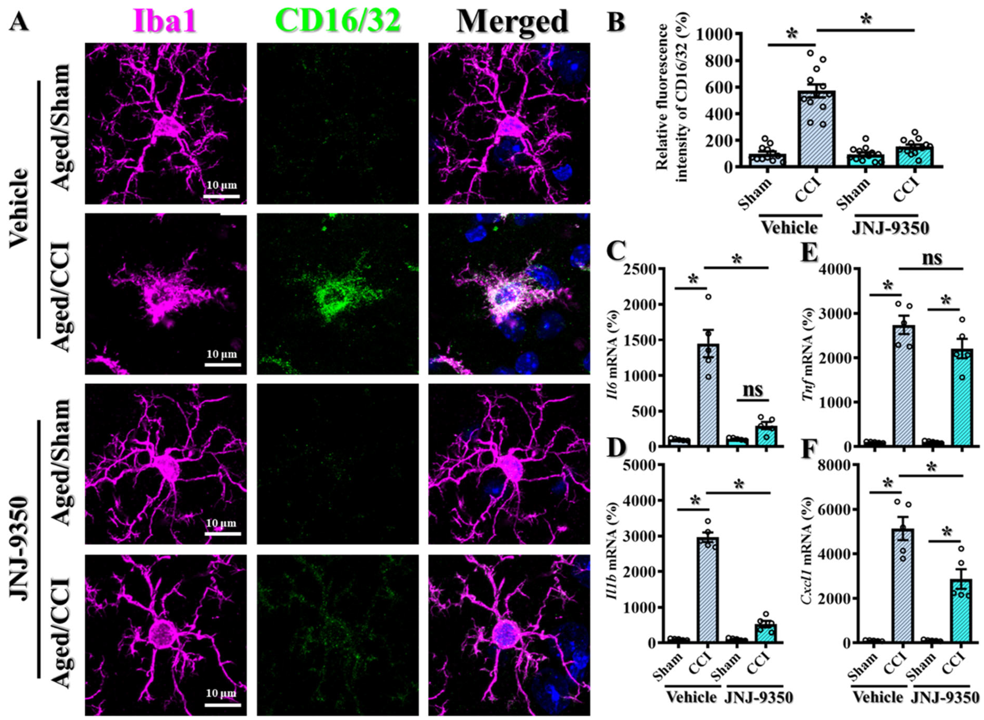 Antioxidants 14 00709 g007