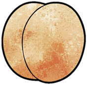 Antioxidants 14 00714 i007