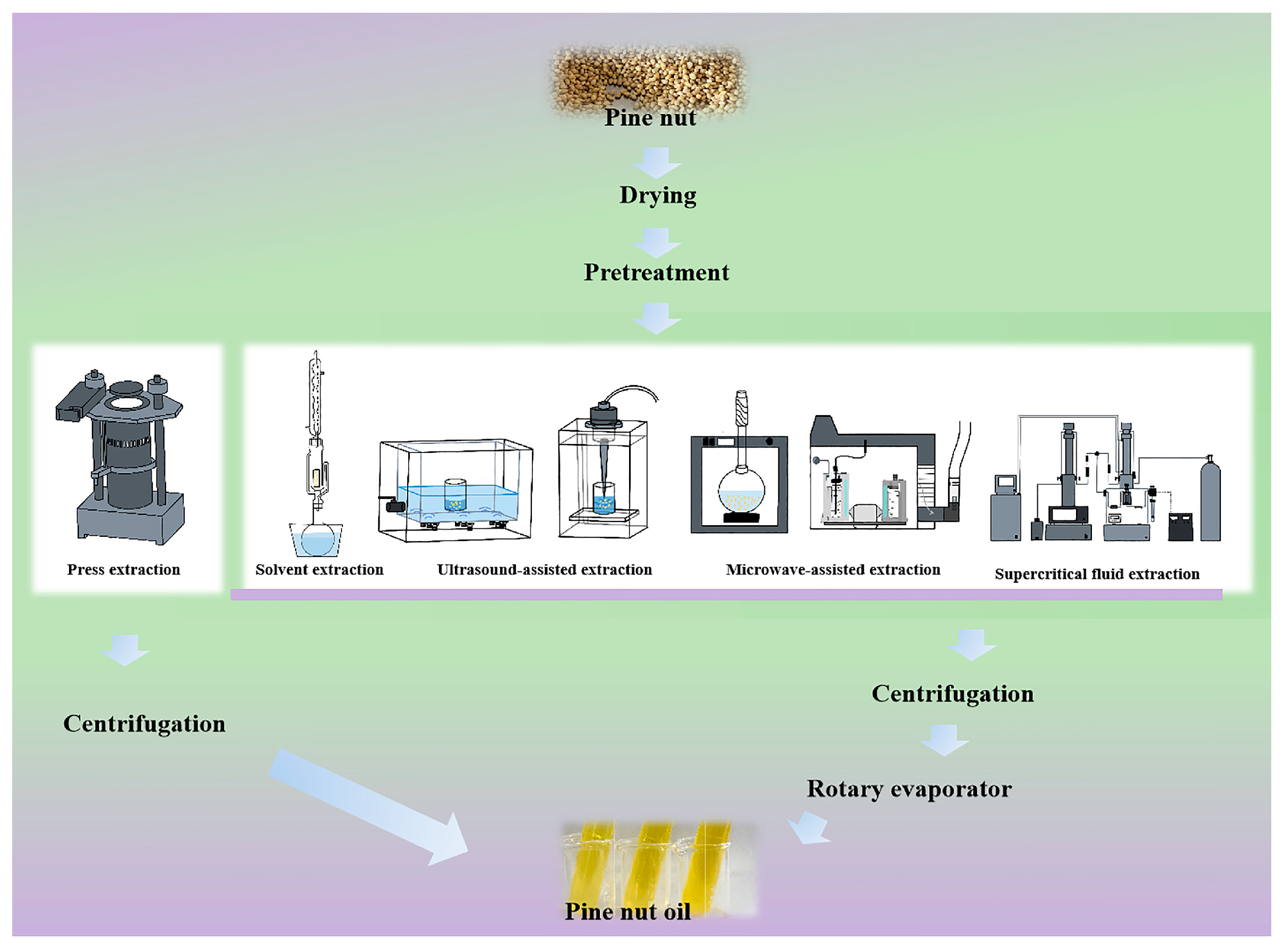 Antioxidants 14 00716 g001