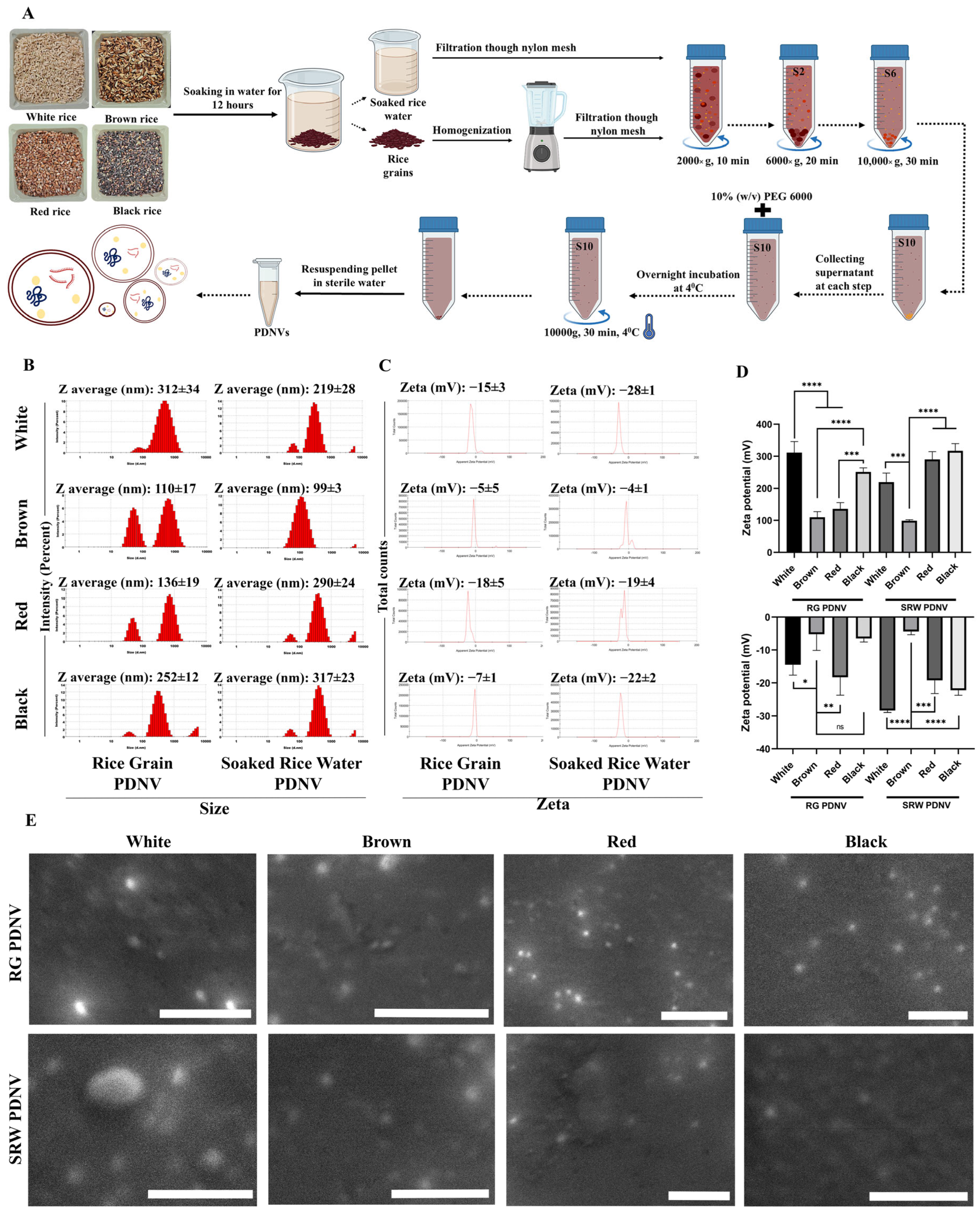 Antioxidants 14 00717 g001 Antioxidants 14 00717 g001