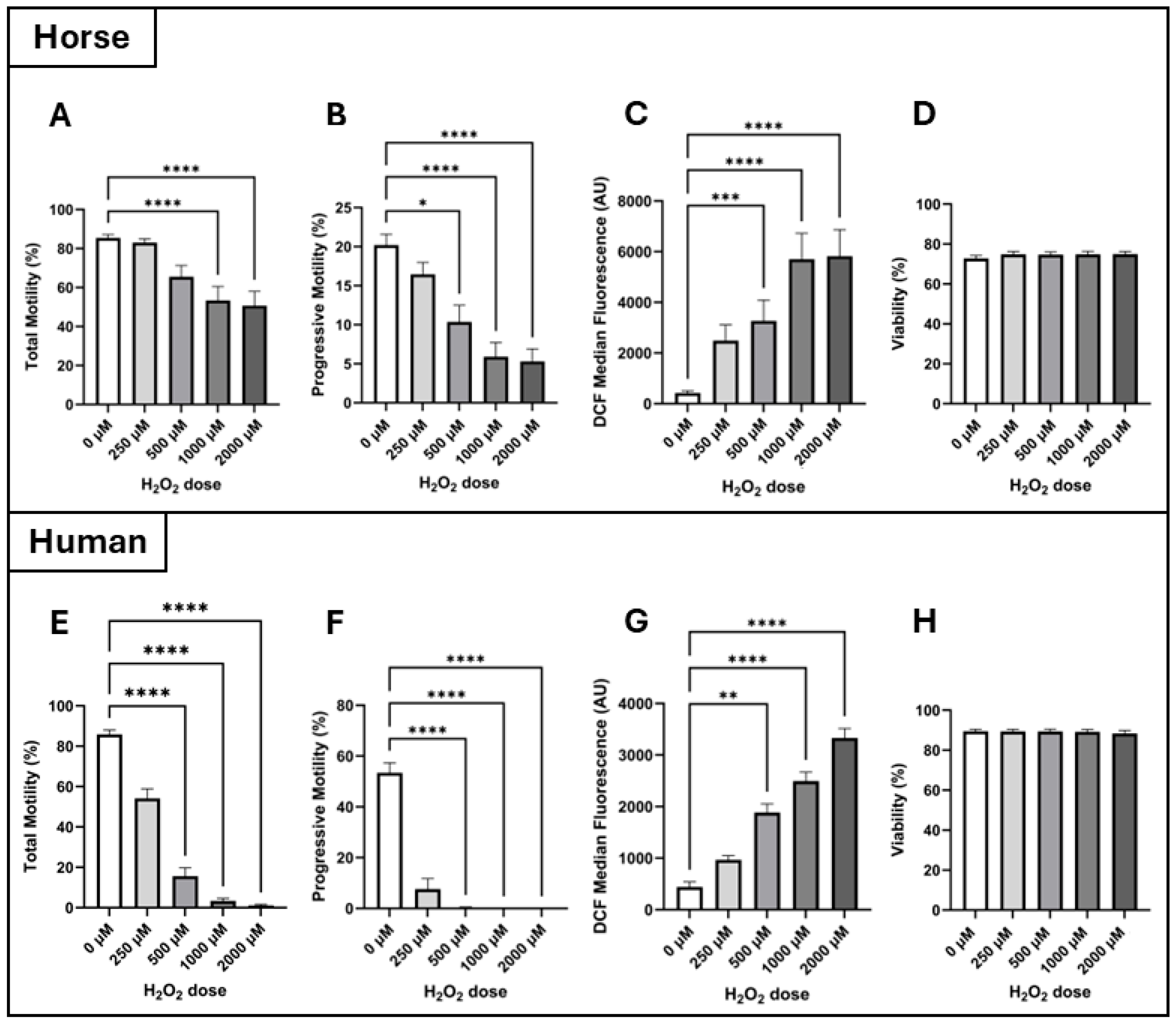 Antioxidants 14 00718 g002