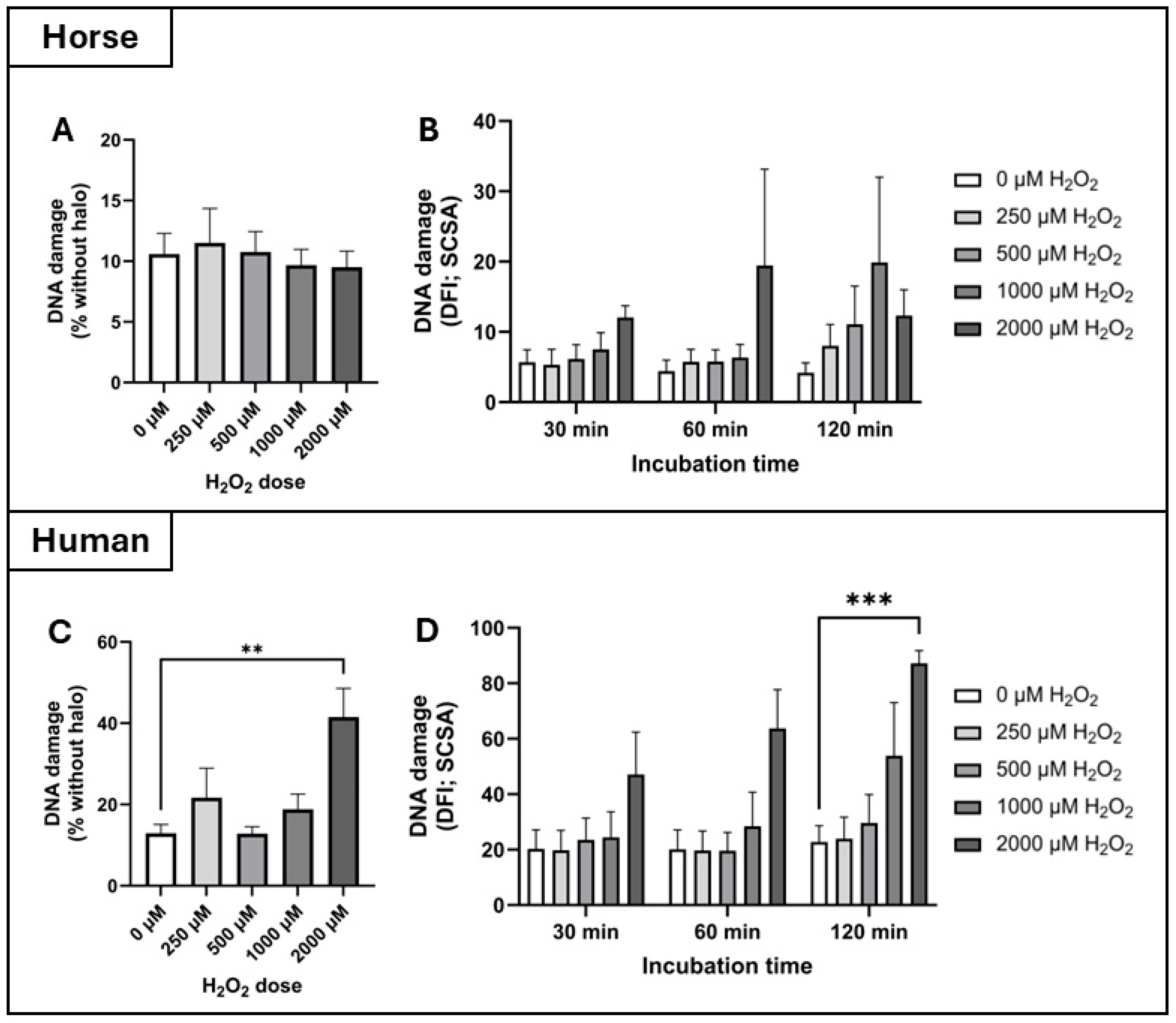Antioxidants 14 00718 g004