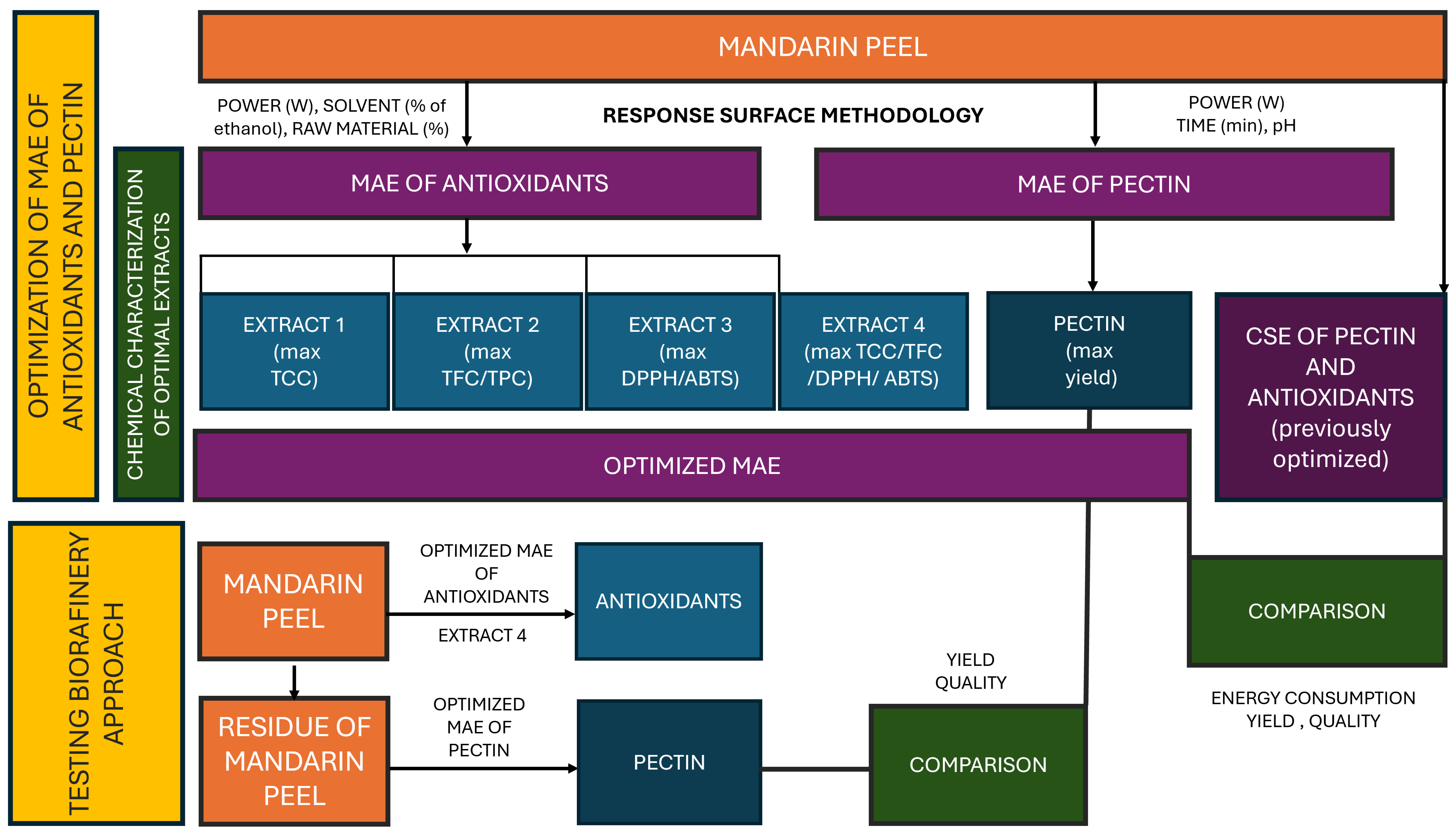 Antioxidants 14 00722 g001