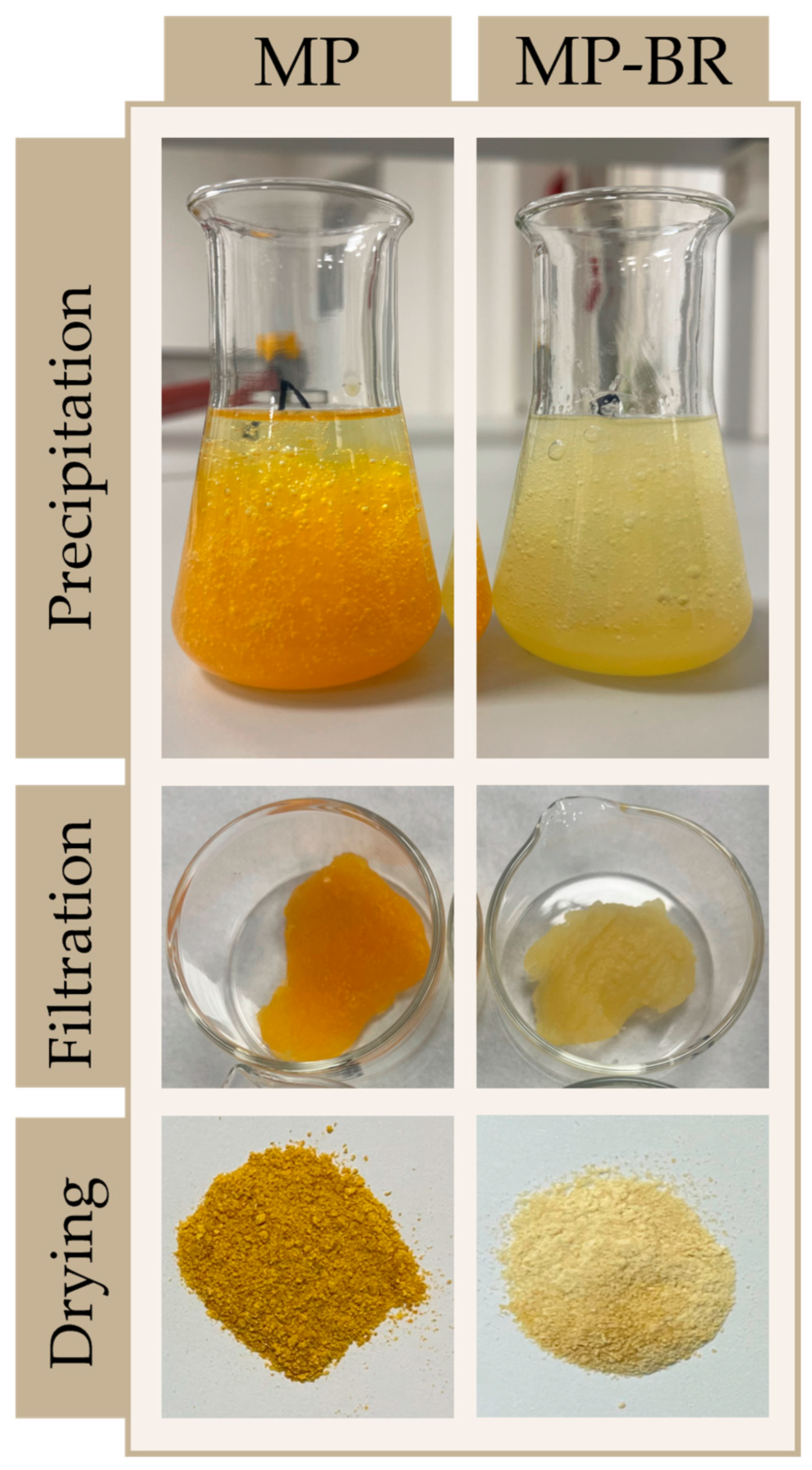 Antioxidants 14 00722 g010