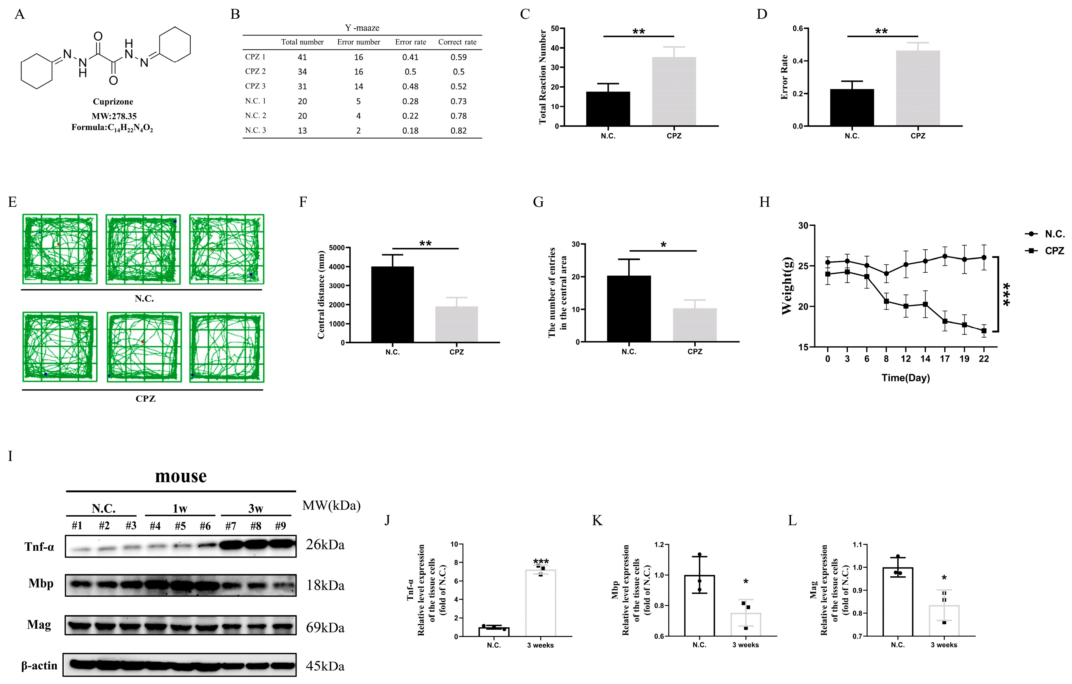 Antioxidants 14 00723 g001