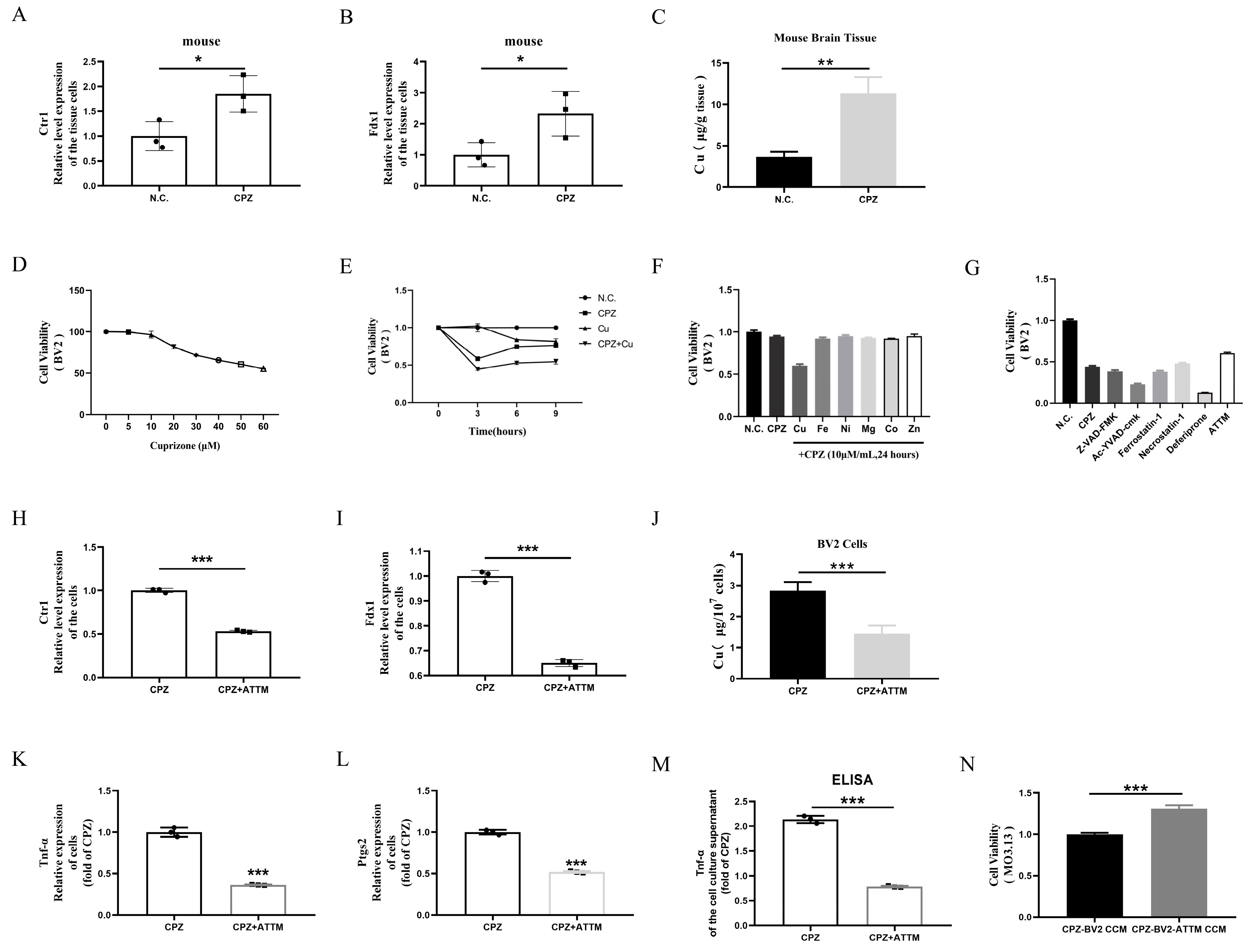 Antioxidants 14 00723 g004