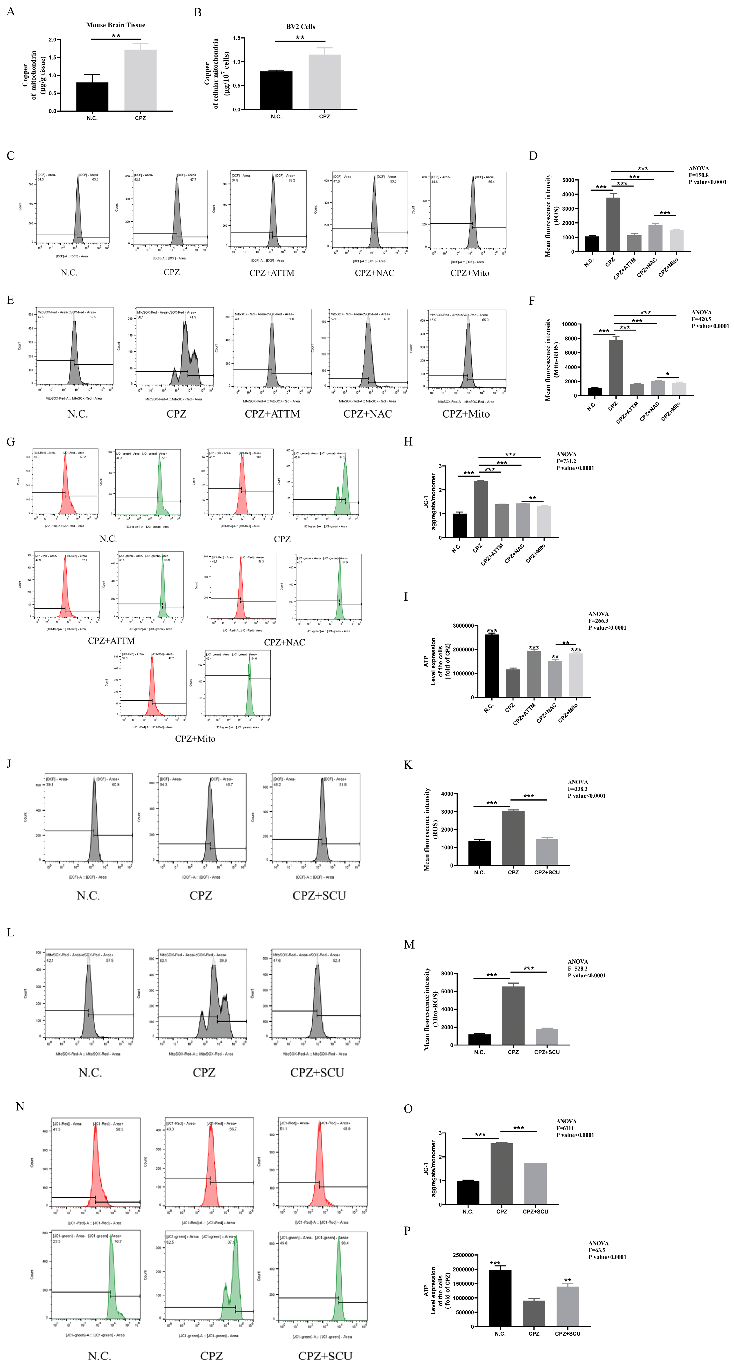 Antioxidants 14 00723 g005