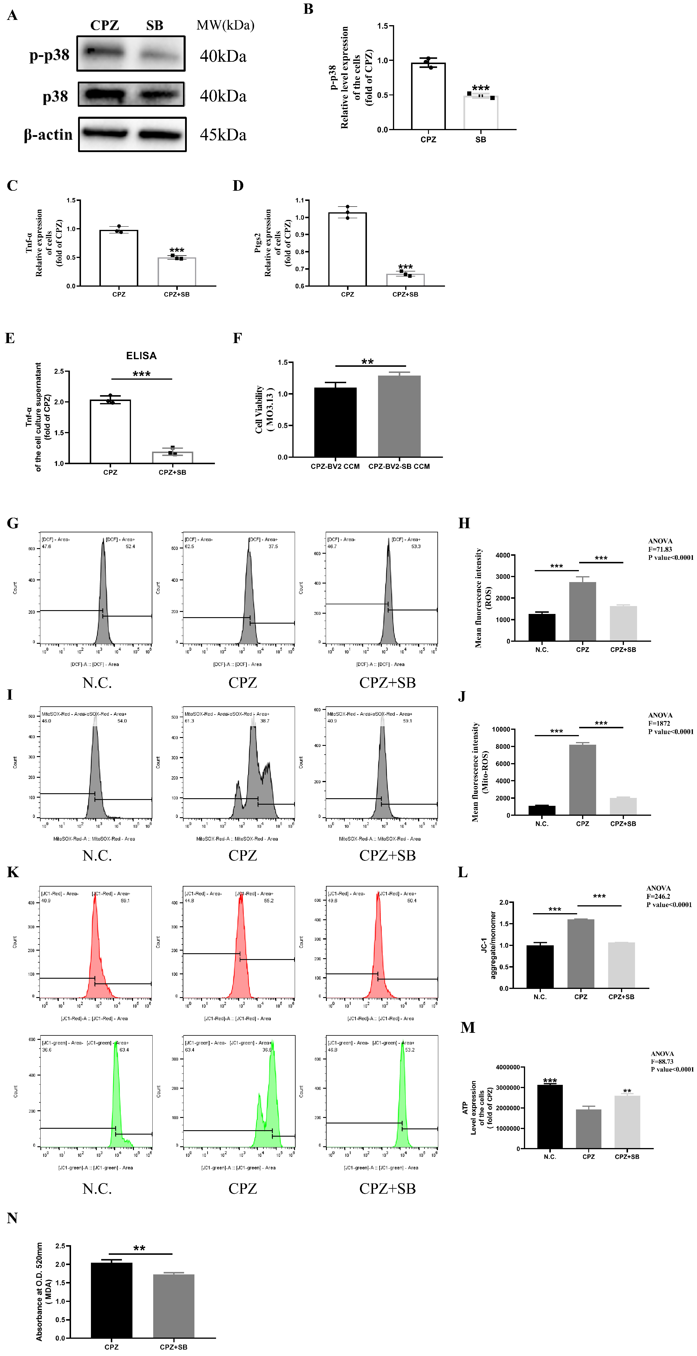 Antioxidants 14 00723 g010