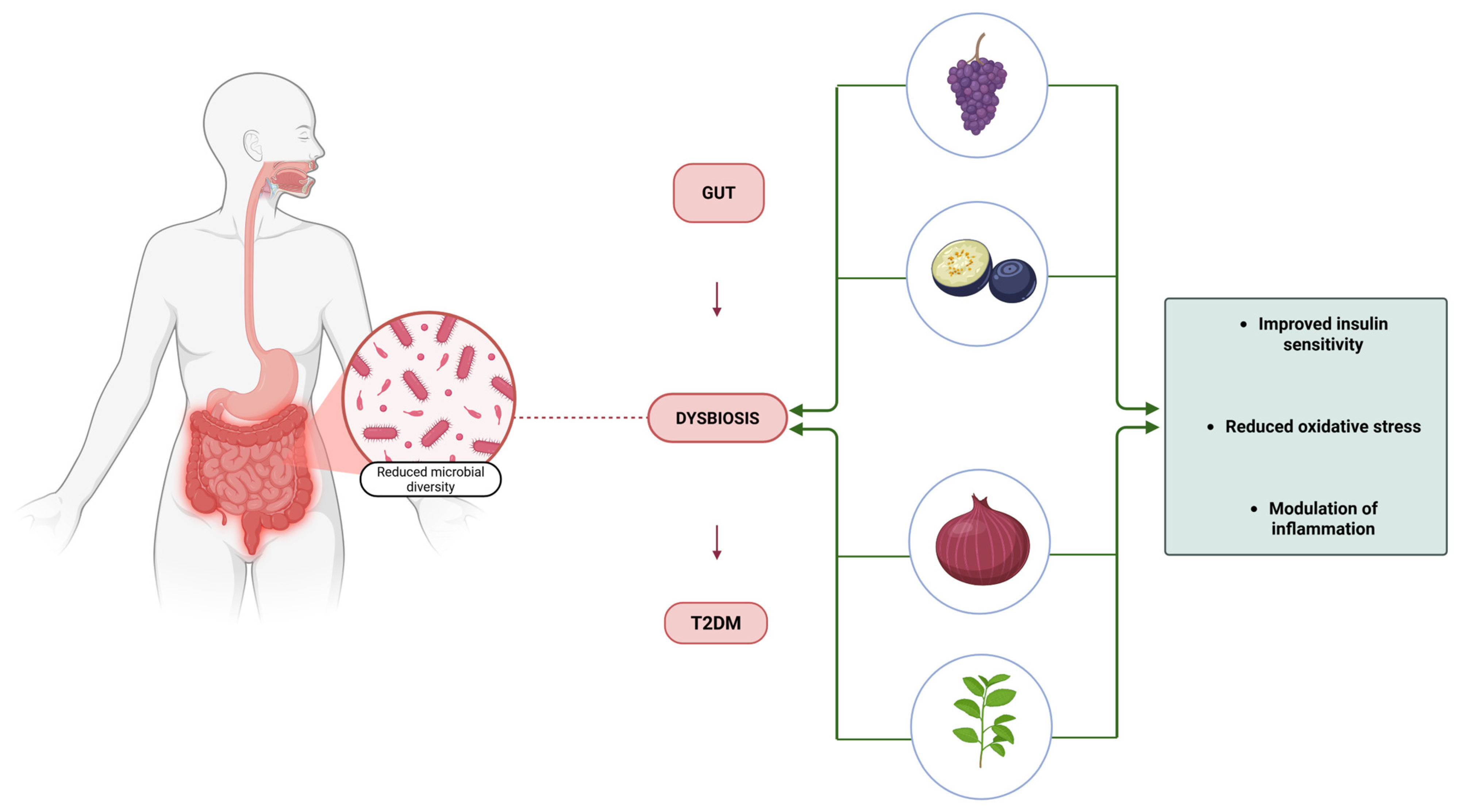 Antioxidants 14 00725 g001