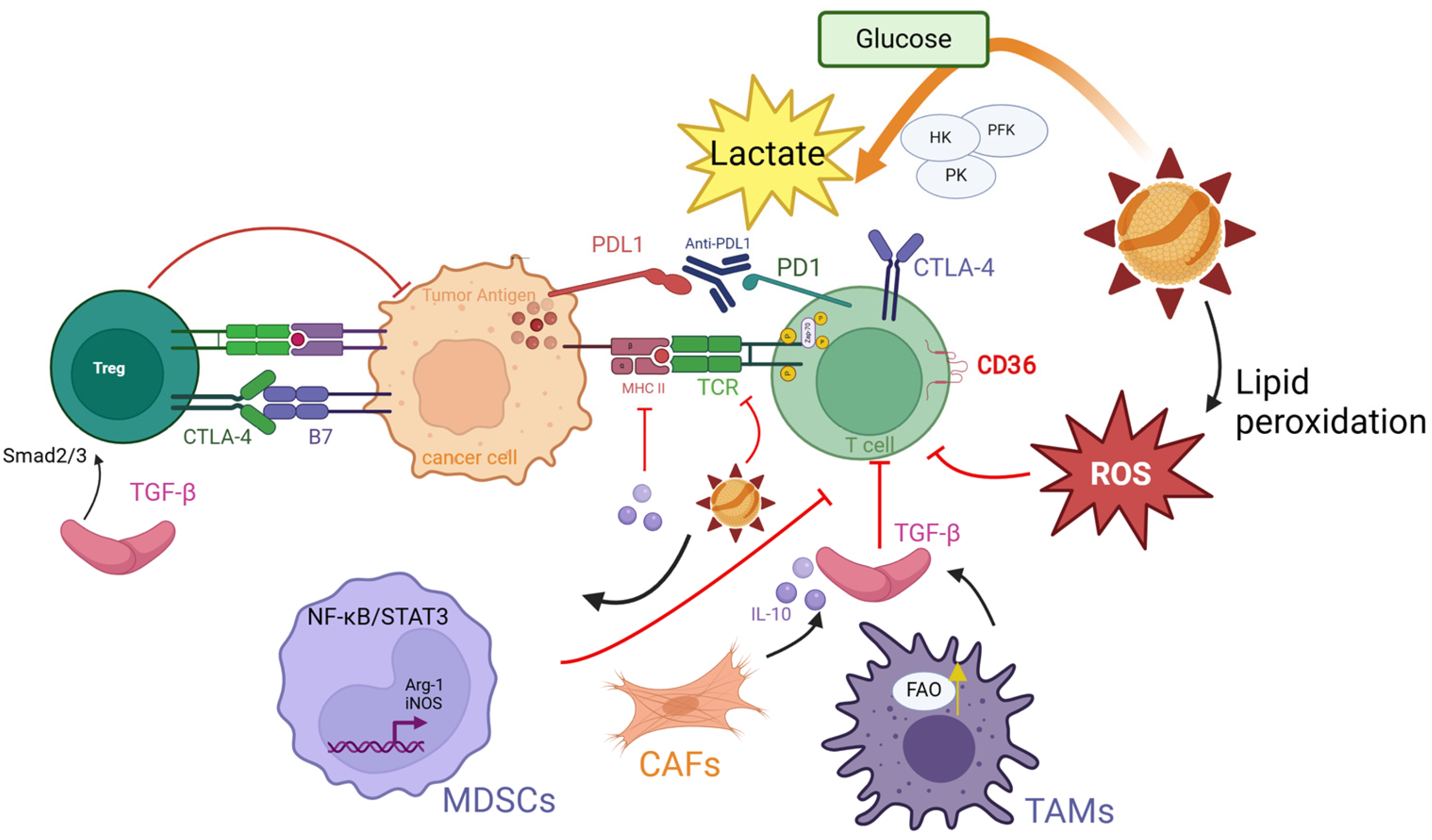 Antioxidants 14 00726 g005