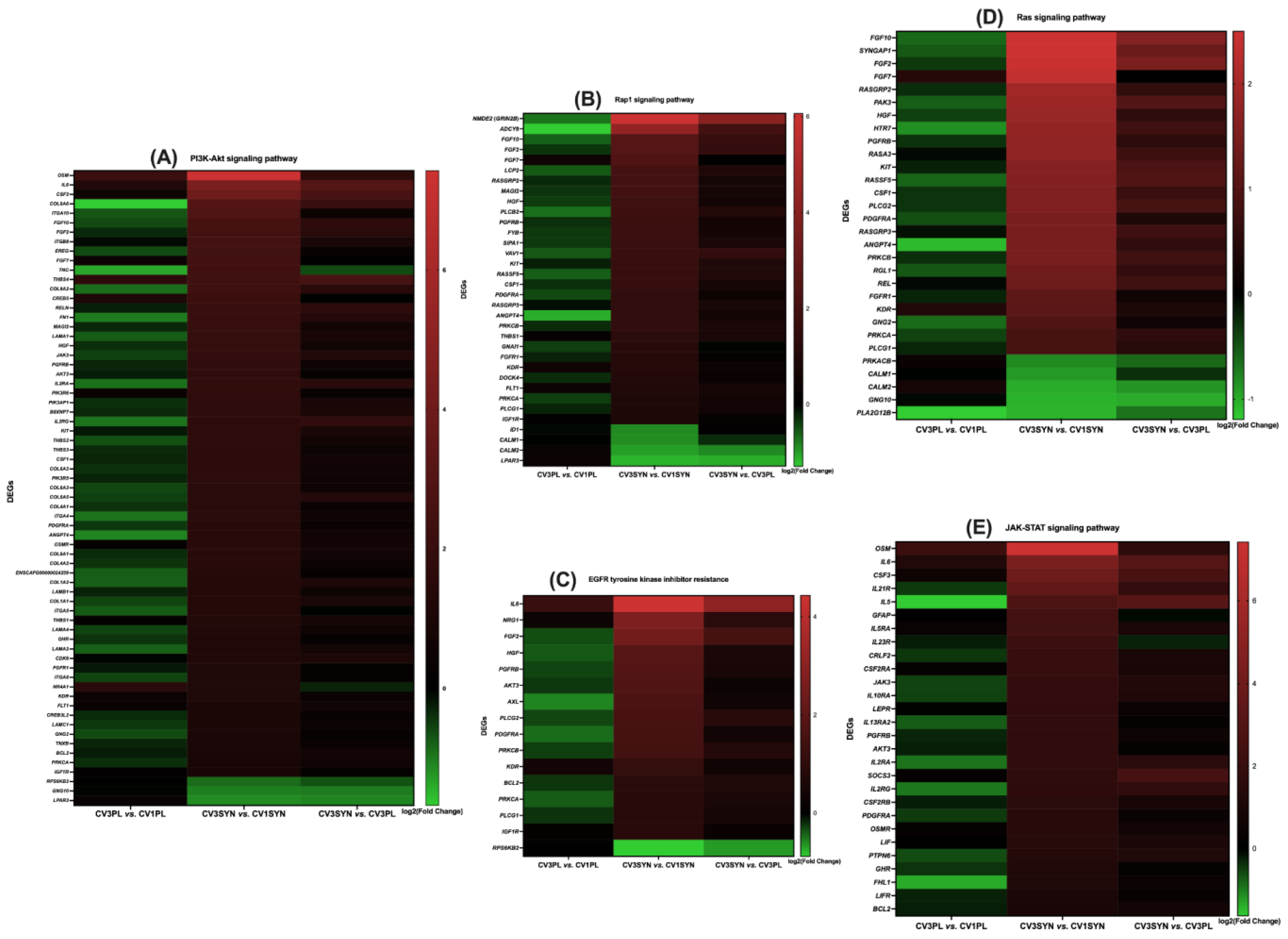 Antioxidants 14 00727 g008